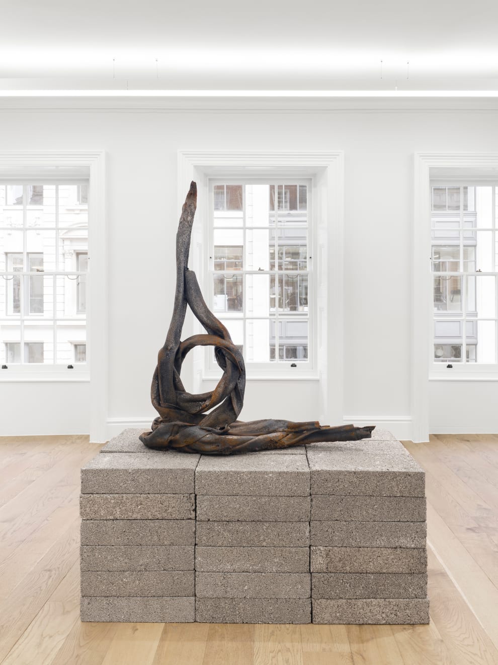 Eli Ping, Moult II, 2025