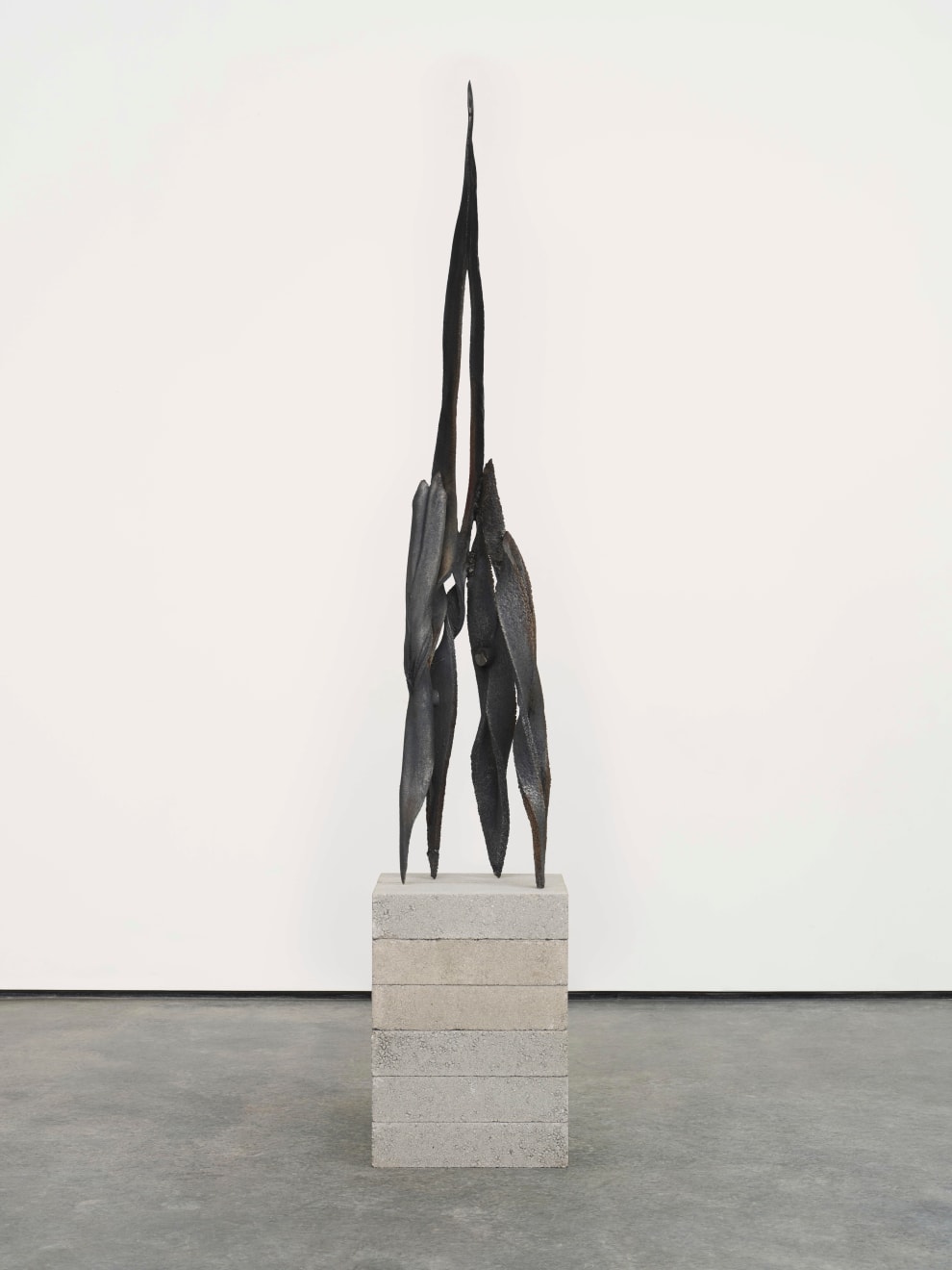 Eli Ping, Moult I, 2025
