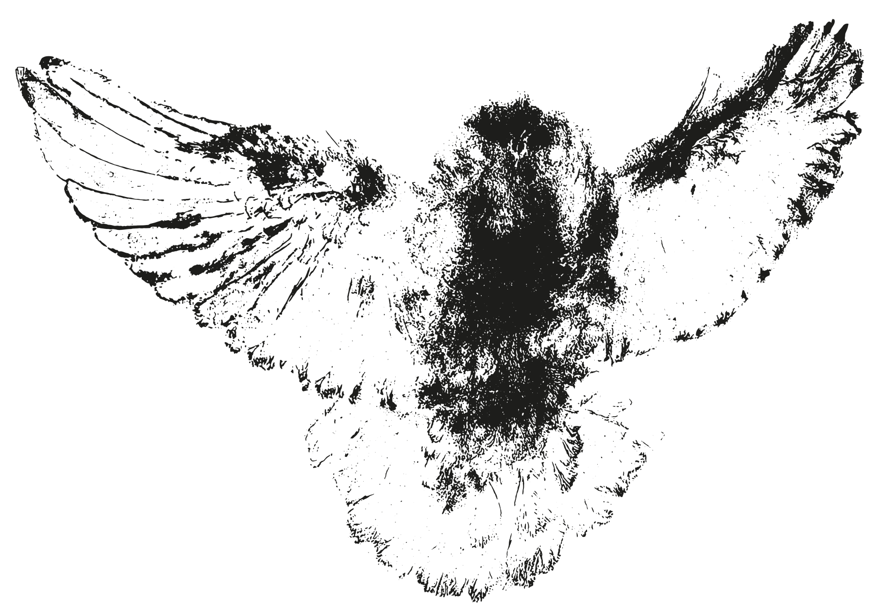 Amanda Ross-Ho, Untitled Prey (WILD BIRD), 2023