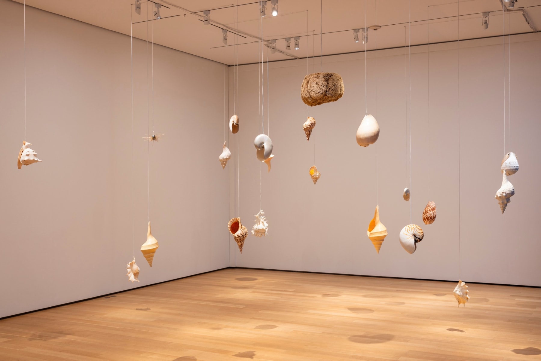 Juan Antonio Olivares, Fermi Paradox III, 2019