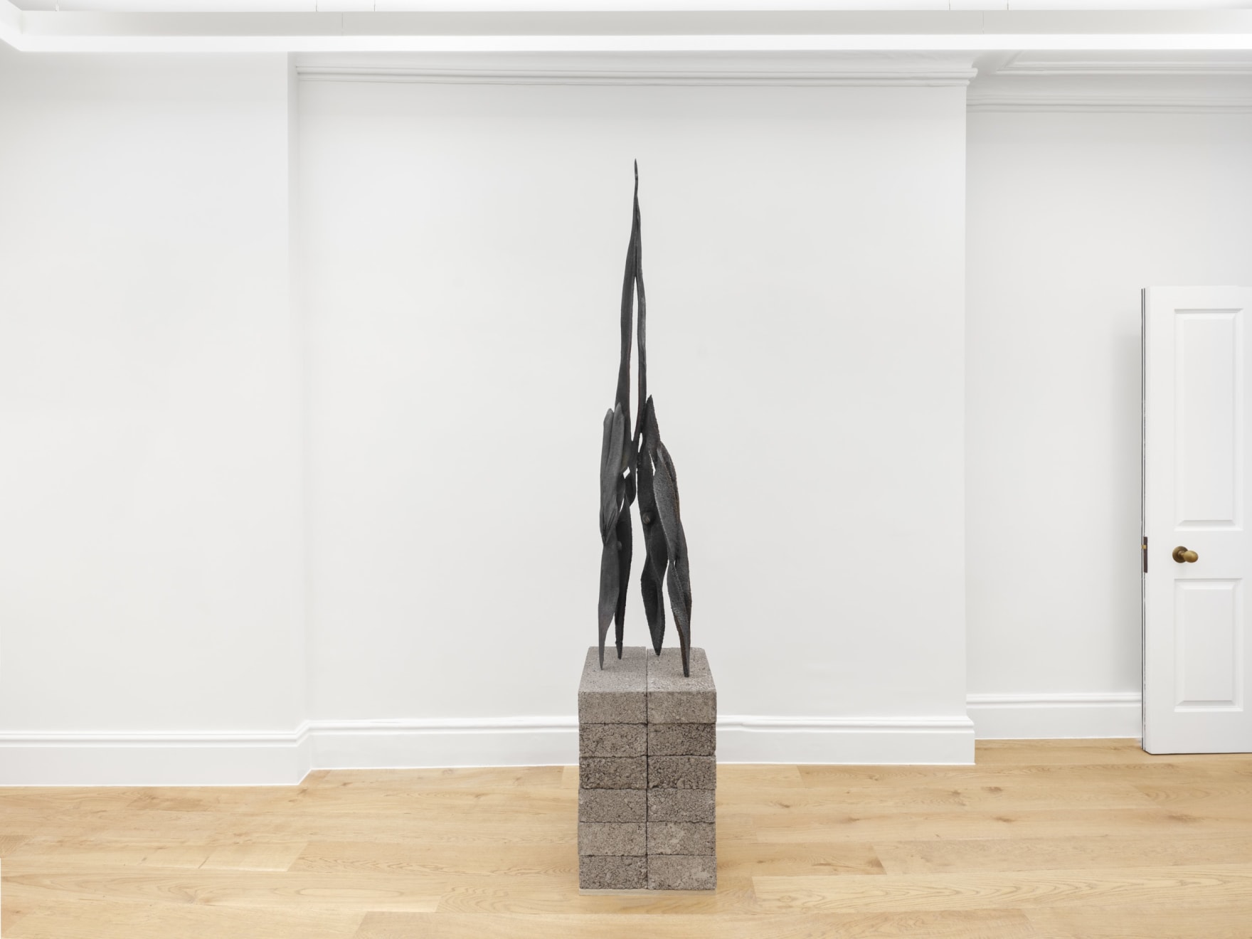 Eli Ping, Moult I, 2025