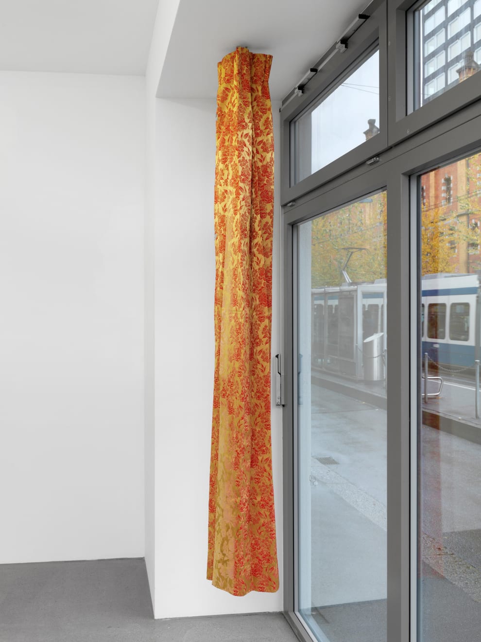 Mitchell Anderson, the charge of a star!, 2011