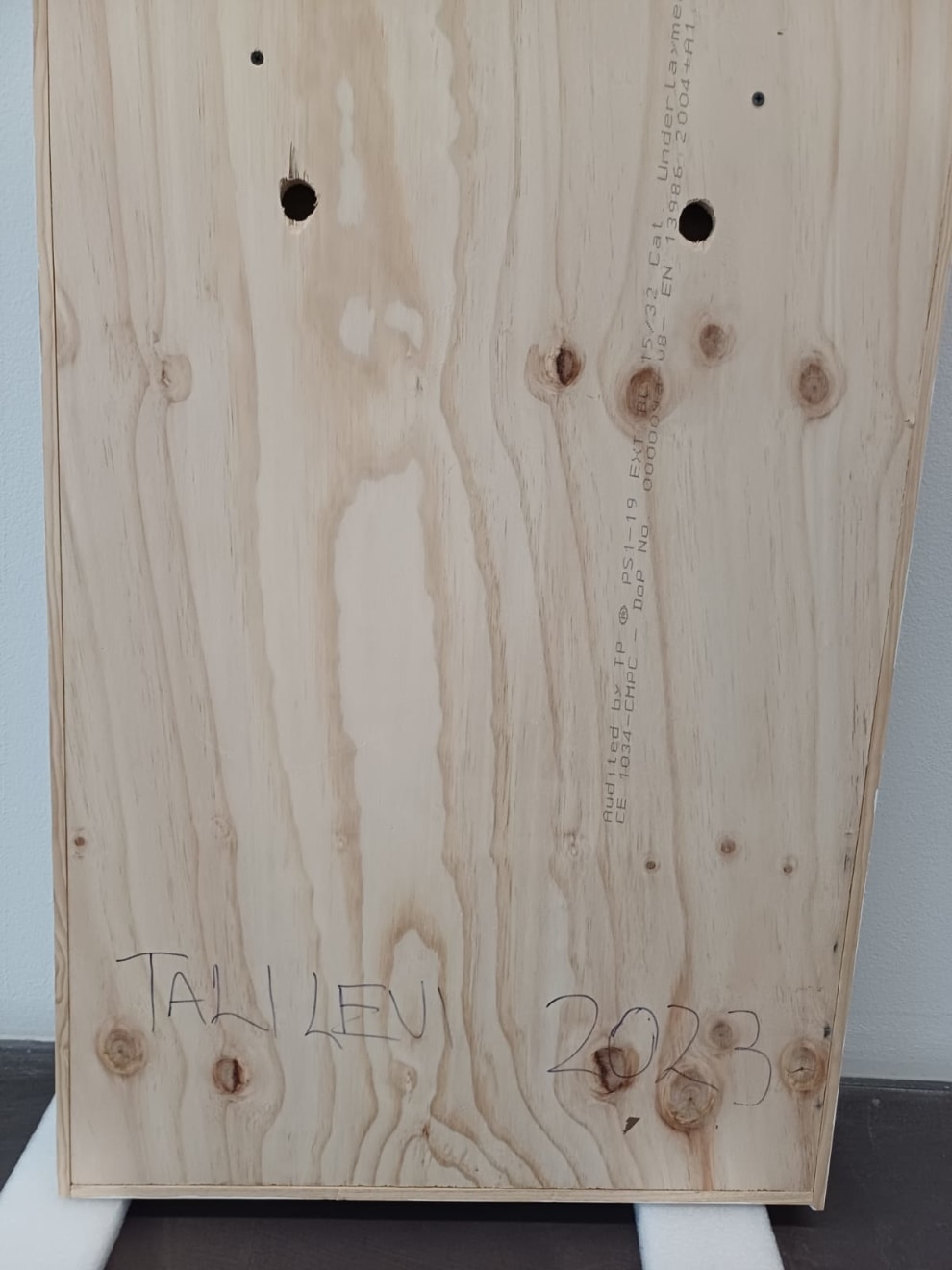 Tali Levi, View from the Window at Le Gras, 2023