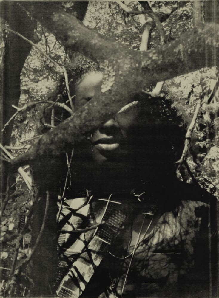 Zohra Opoku, Life Oak, 2015