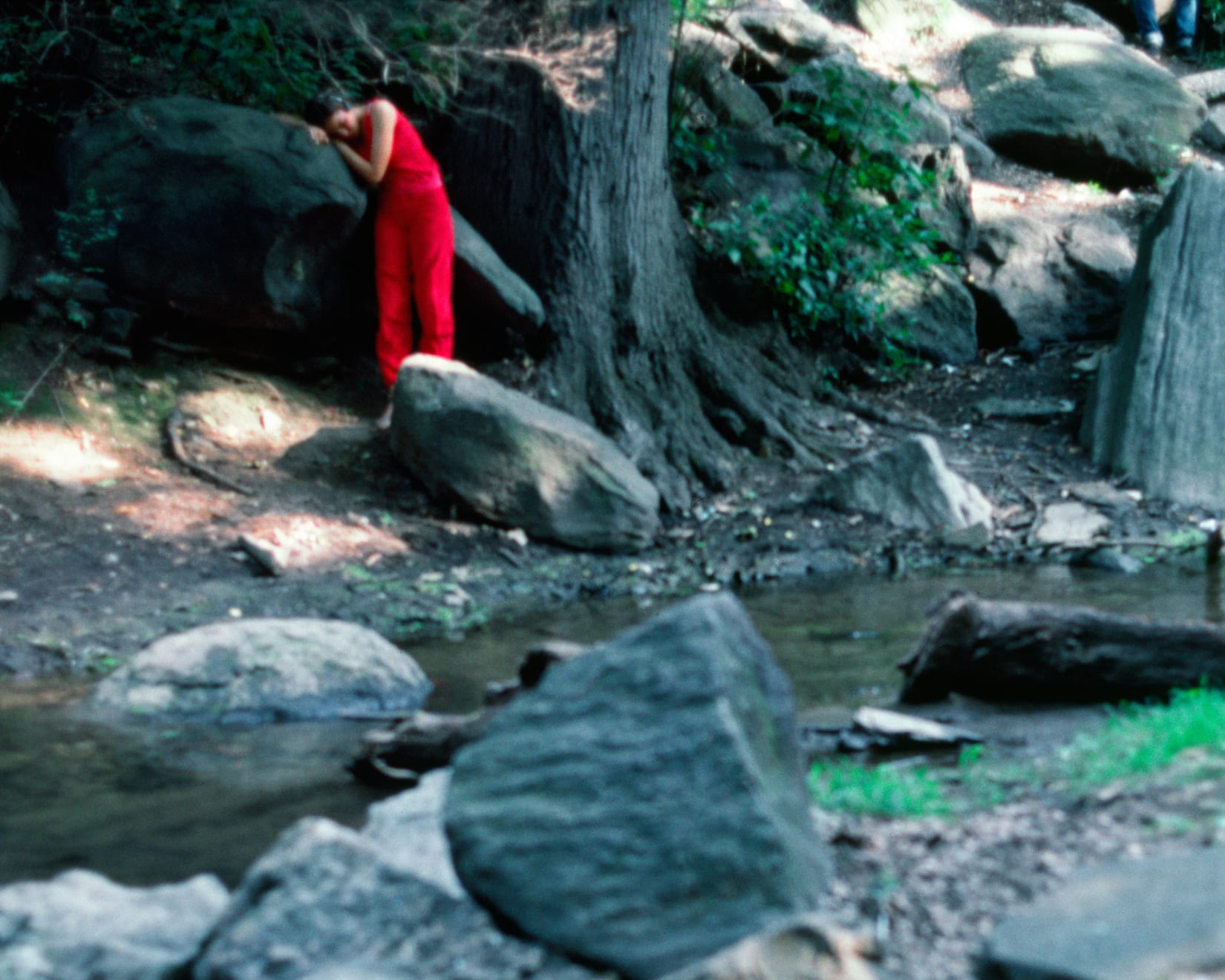 Lorraine O'Grady, Rivers, First Draft: The Teenager in Magenta stands depressed on the bank of the stream, 1982/2015