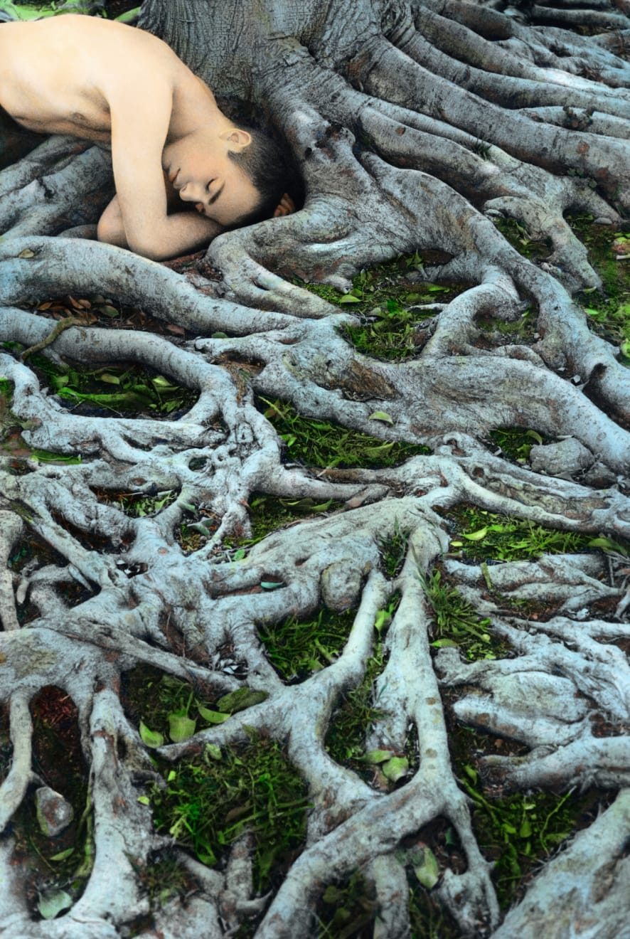 Youssef Nabil, Self-portrait with Roots, Los Angeles, 2008