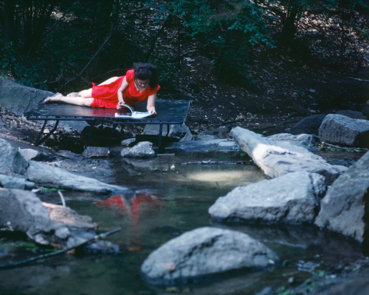 Lorraine O'Grady, Rivers, First Draft: The Woman in Red, on a bed jutting into the water, skims an accordion-folded album...