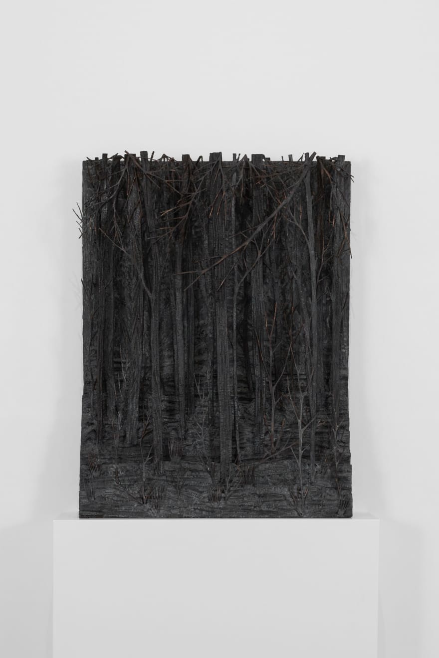 Eva Jospin, Forêt noire, 2019