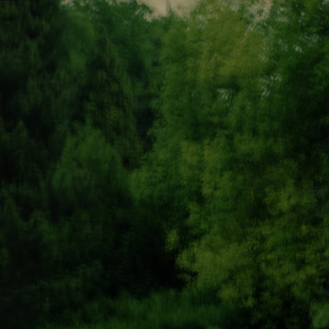 Mustapha Azeroual, Radiance #1, Untitled, V1-3, 2012