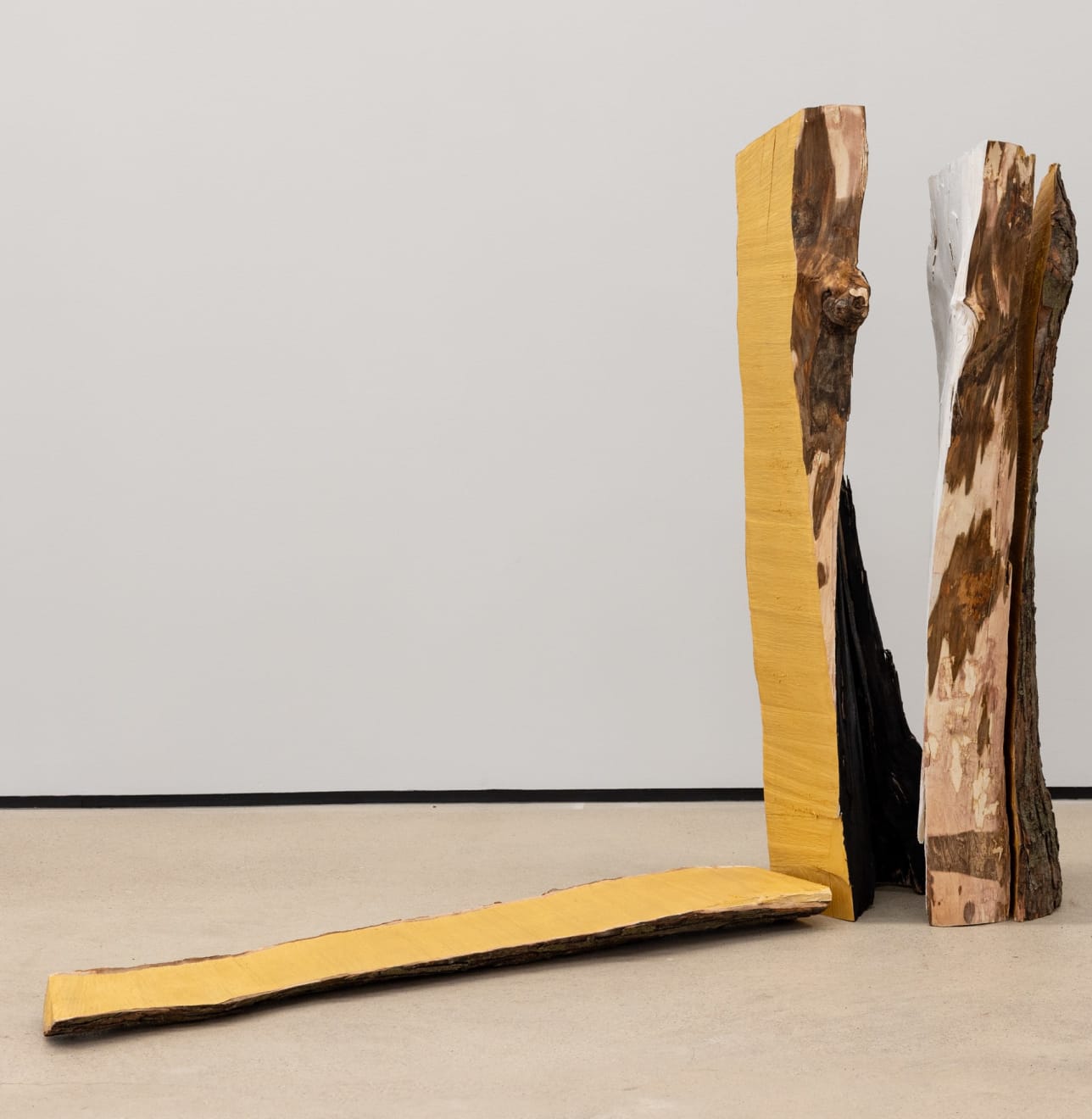 Mwangi Hutter, The Nature of Thoughts, 2025