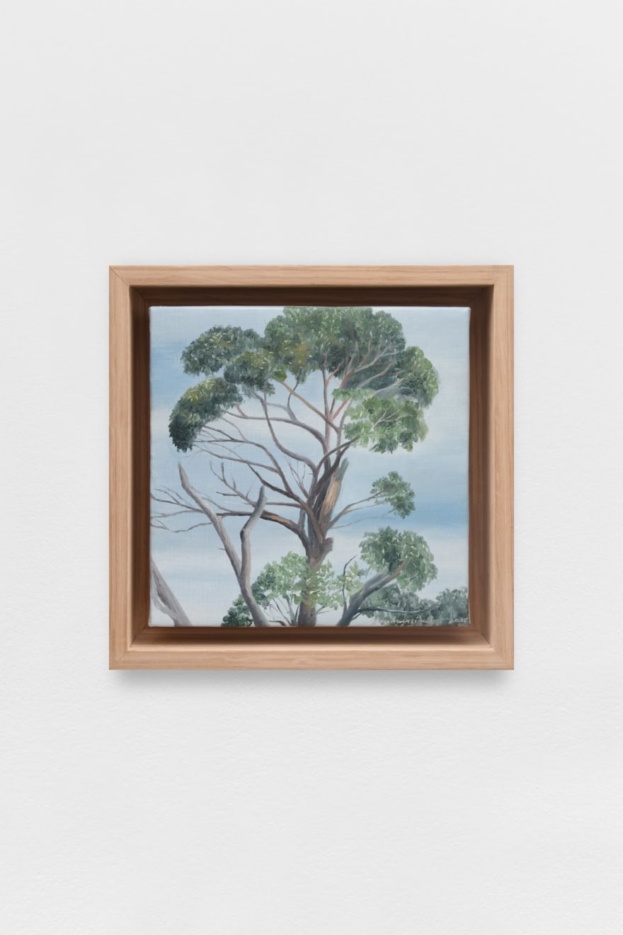 Ian Mwesiga, Canopy, 2025