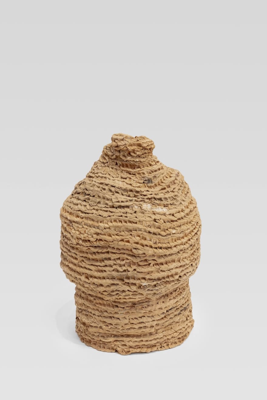 Lidia Lisbôa, Sem título (da série Cupinzeiros) [Untitled (from the Cupinzeiros series)], 2020
