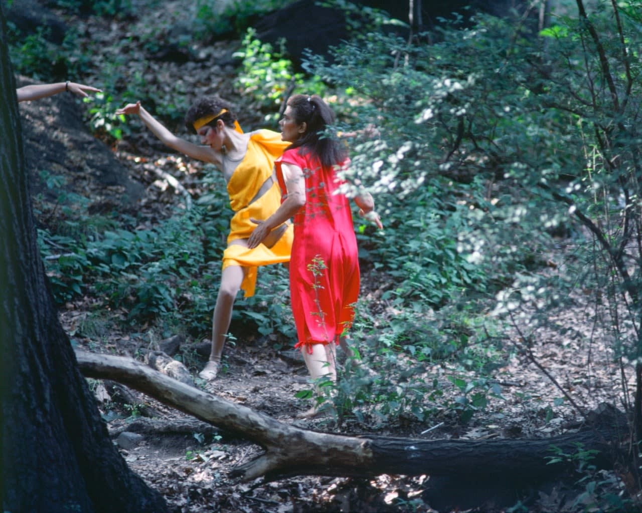 Lorraine O'Grady, Rivers, First Draft: The Woman in Gold rejects the Woman in Red, 1982/2015
