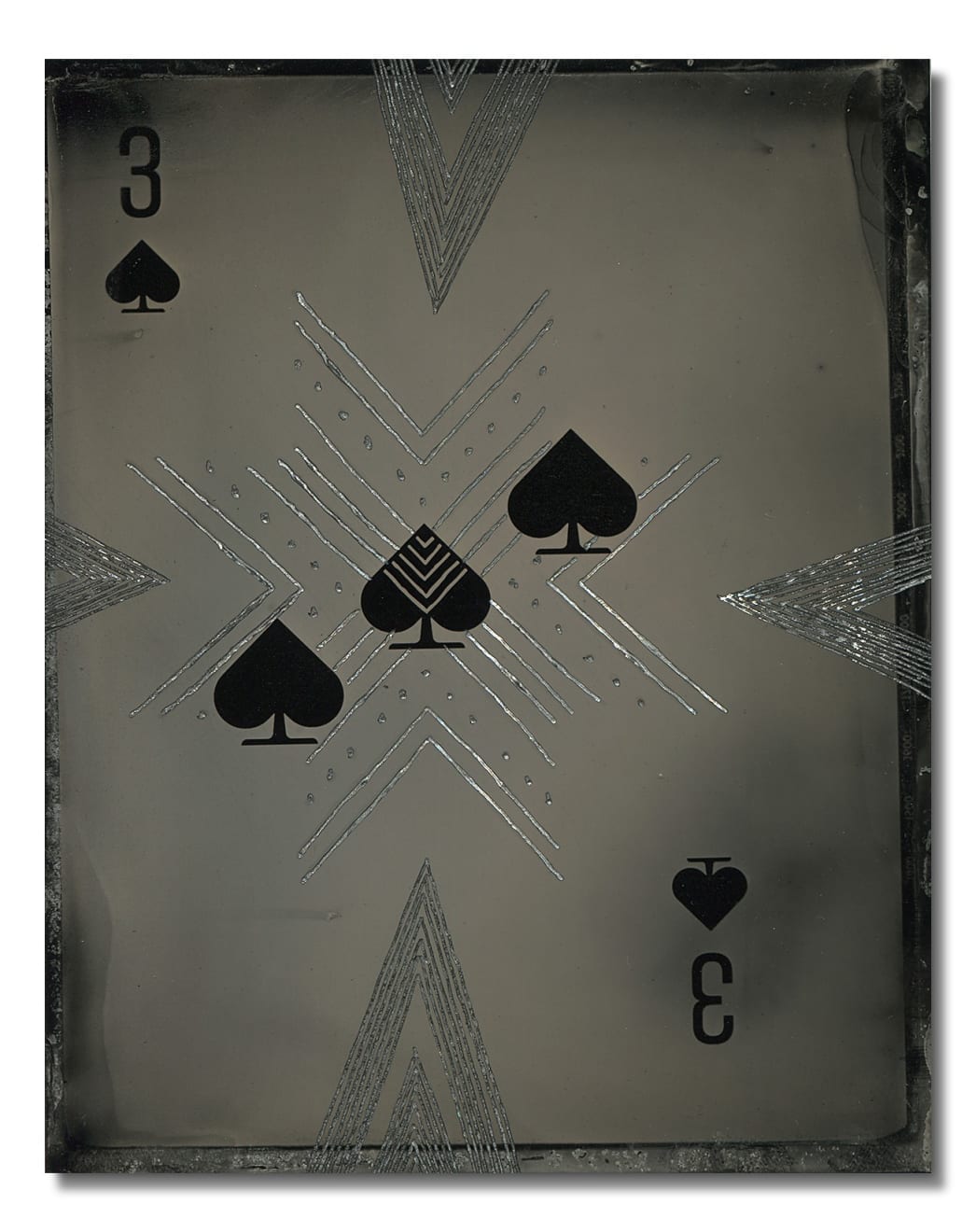 Damien Shen, S3, 2025