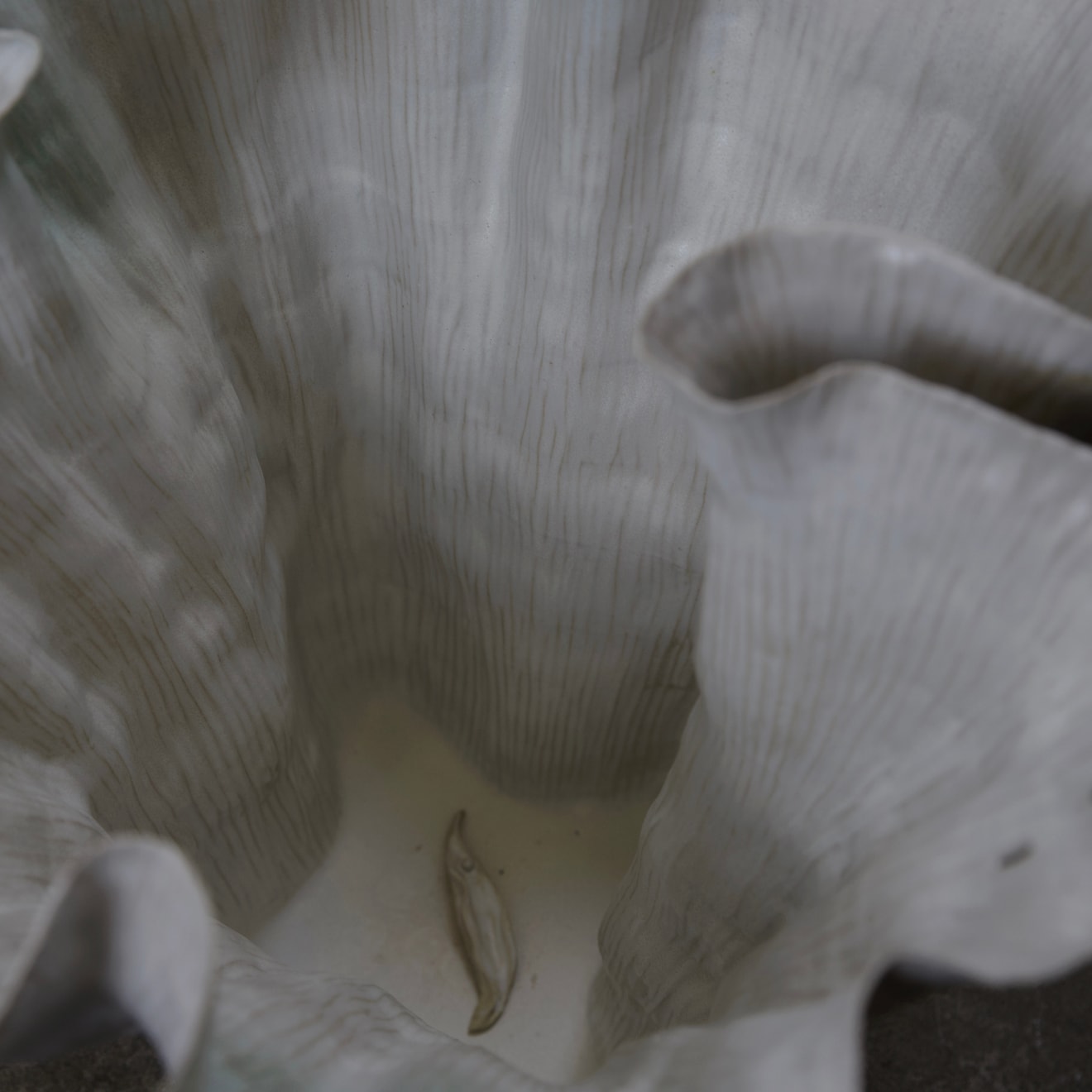 Kohl Tyler, Reading Genesis under a Lunar Sunrise, 2025