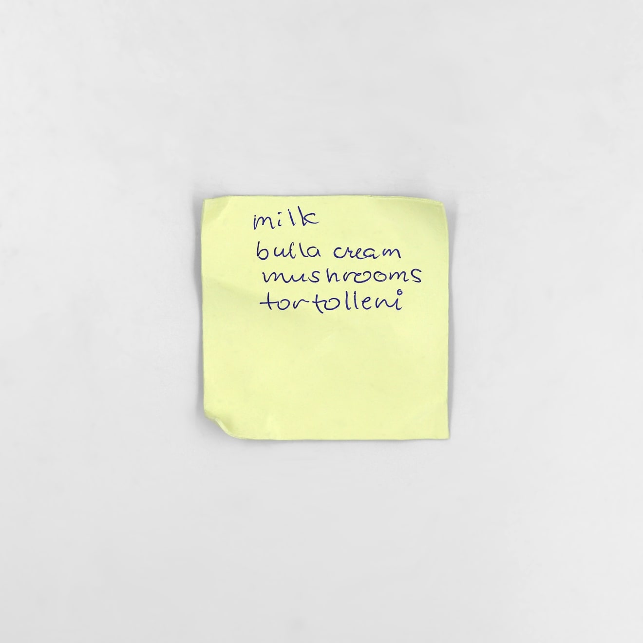 Kenny Pittock, Tortolleni , 2024