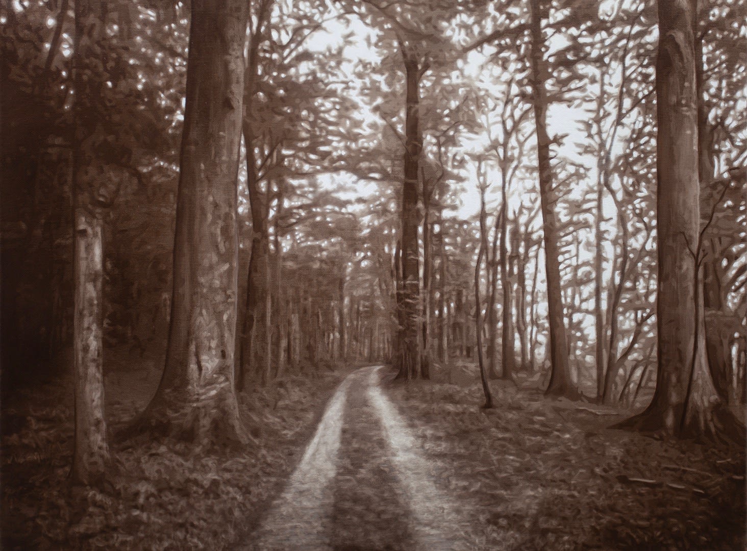 Tony Lloyd, Wandering, 2024