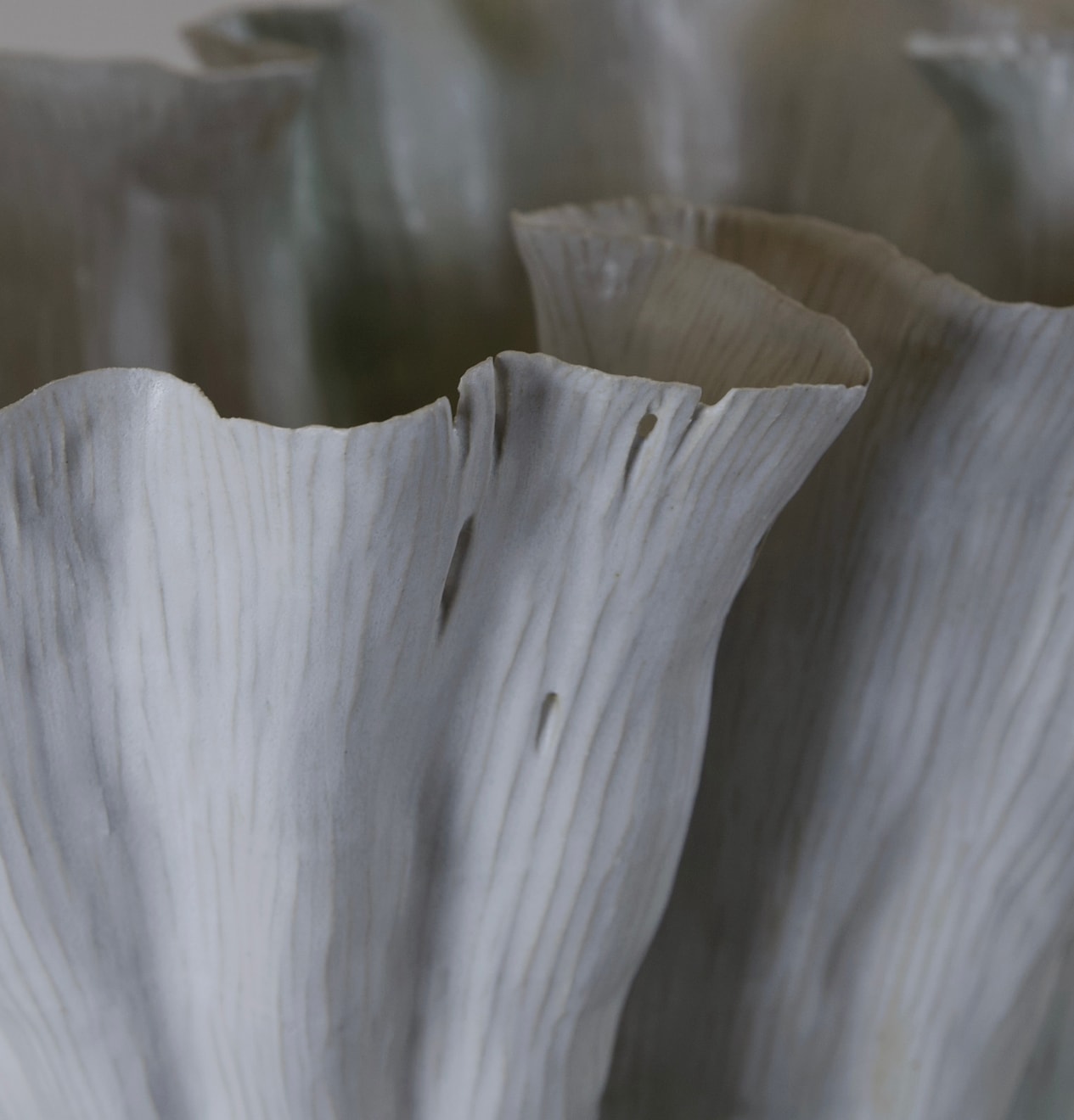 Kohl Tyler, Reading Genesis under a Lunar Sunrise, 2025