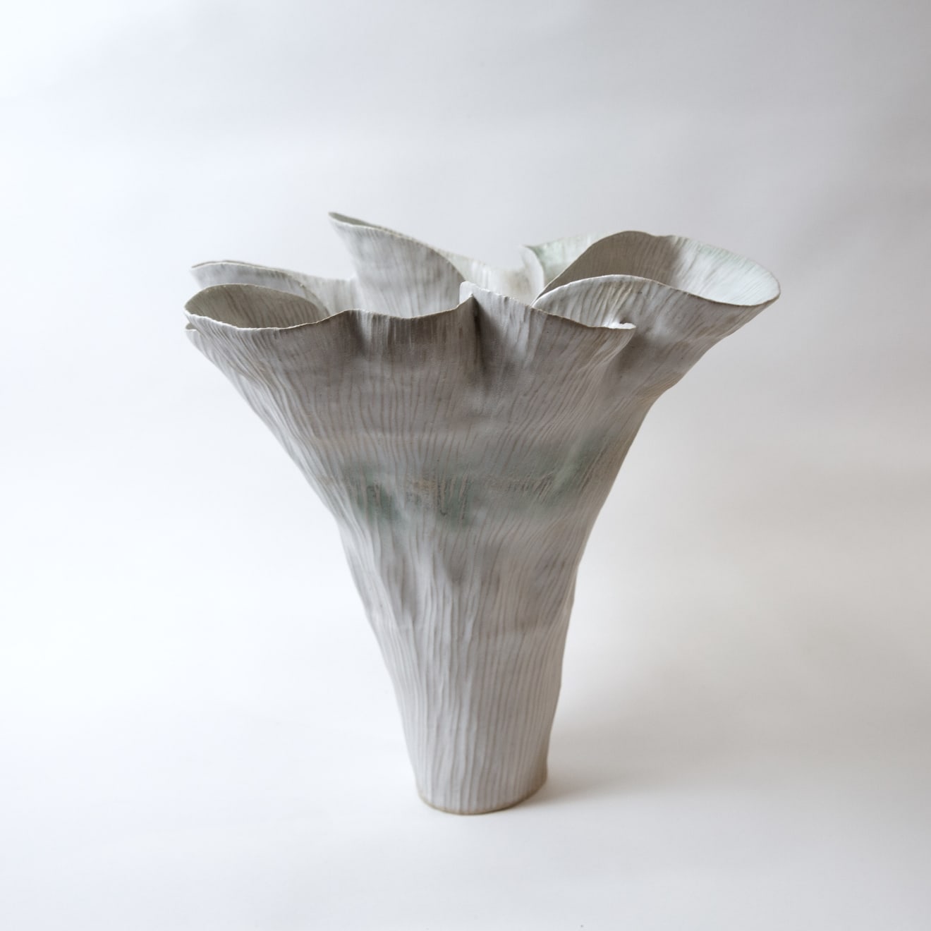 Kohl Tyler, Disappearing, in the soil, 2025