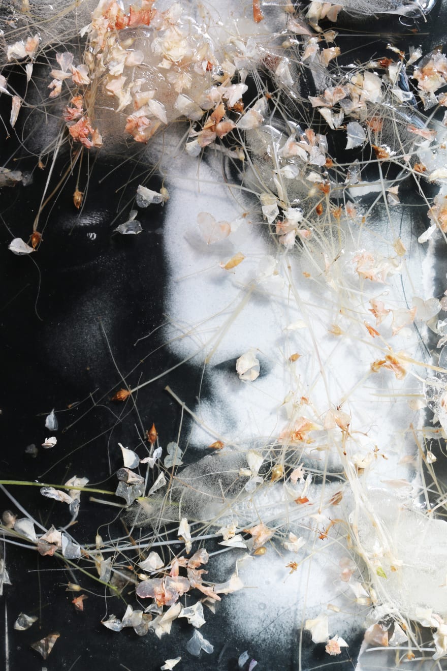 Strateas Carlucci, Societal Camouflage _ 02, 2025