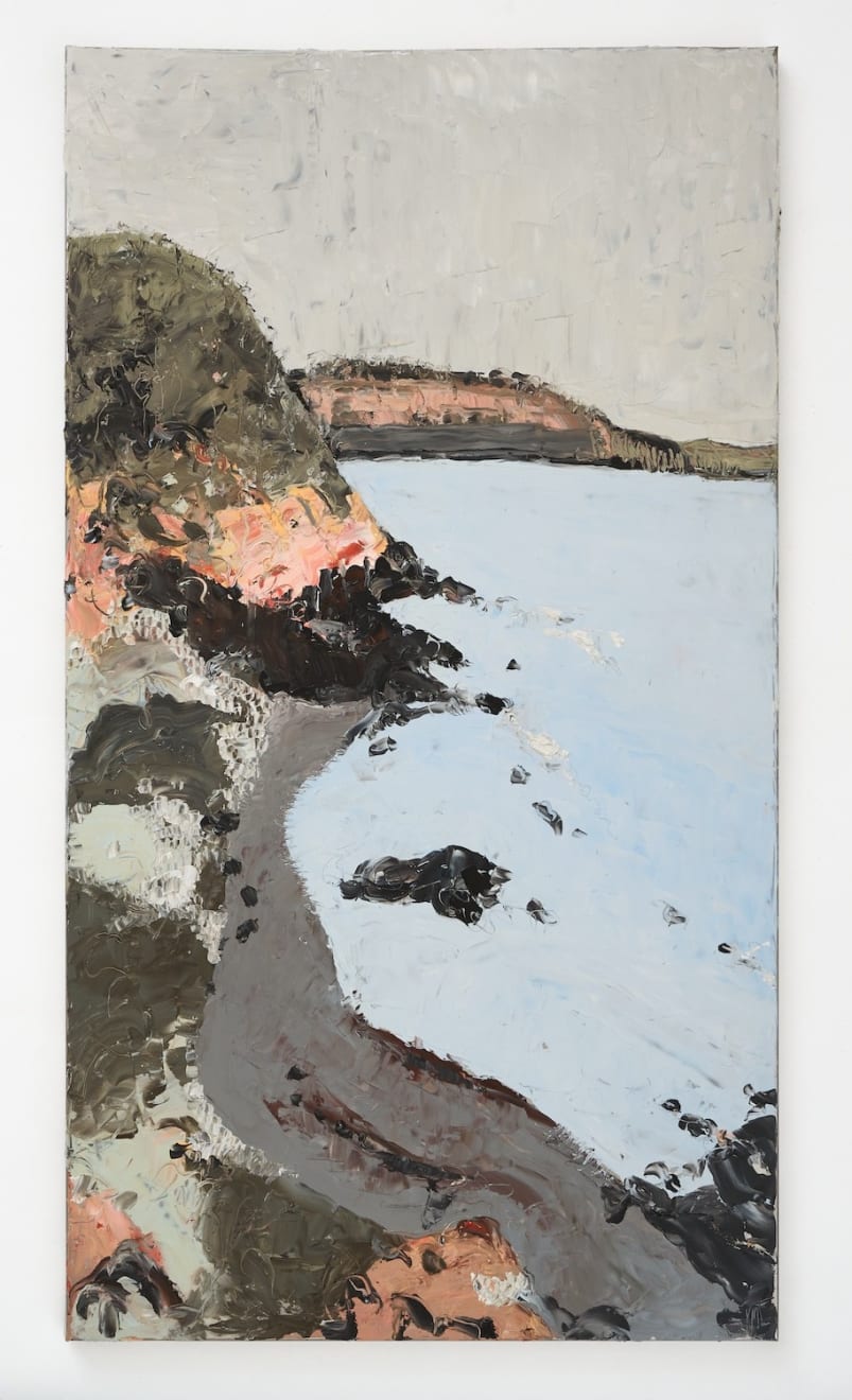 Kate Lewis, Cape schanck opening , 2024