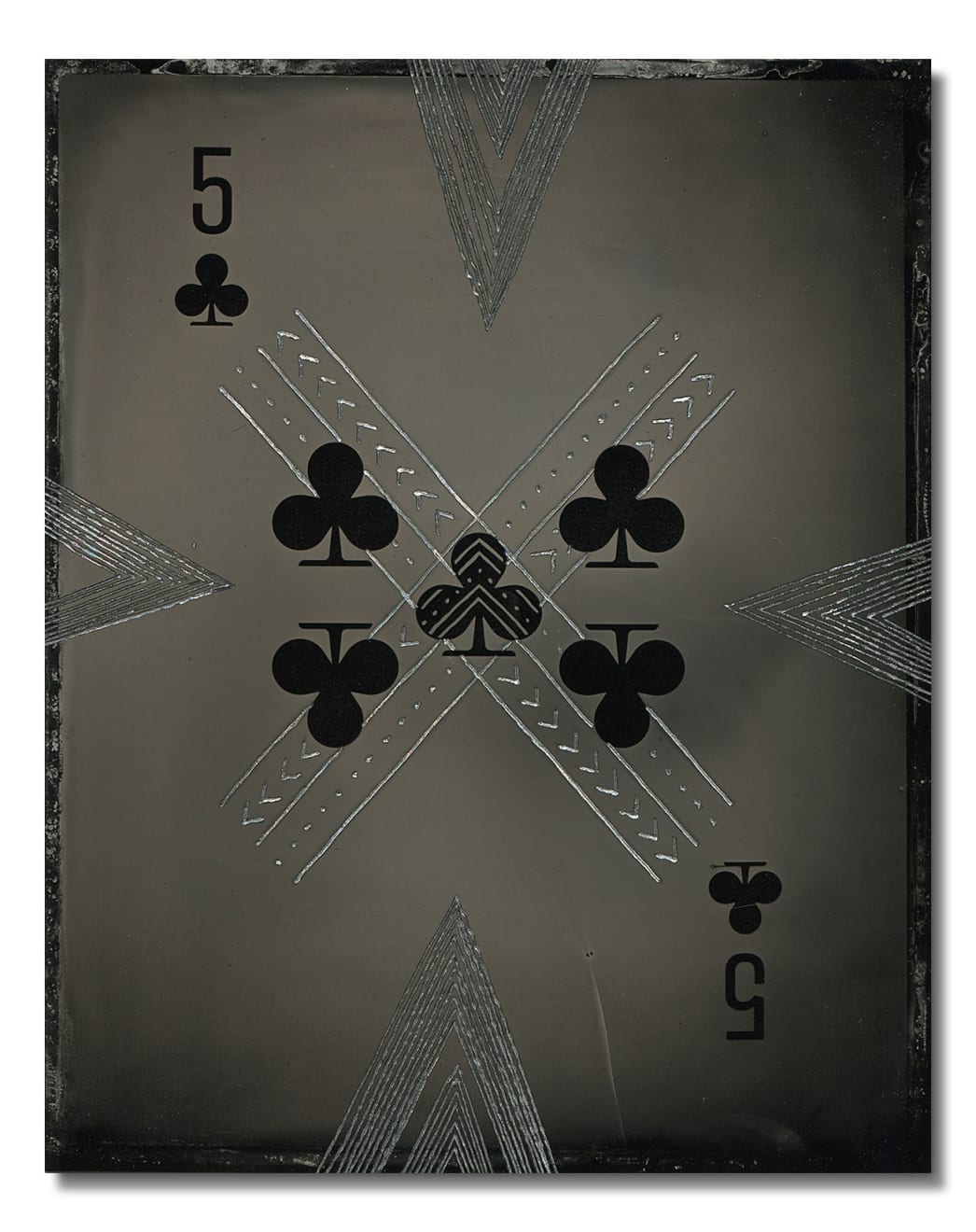 Damien Shen, C5, 2025