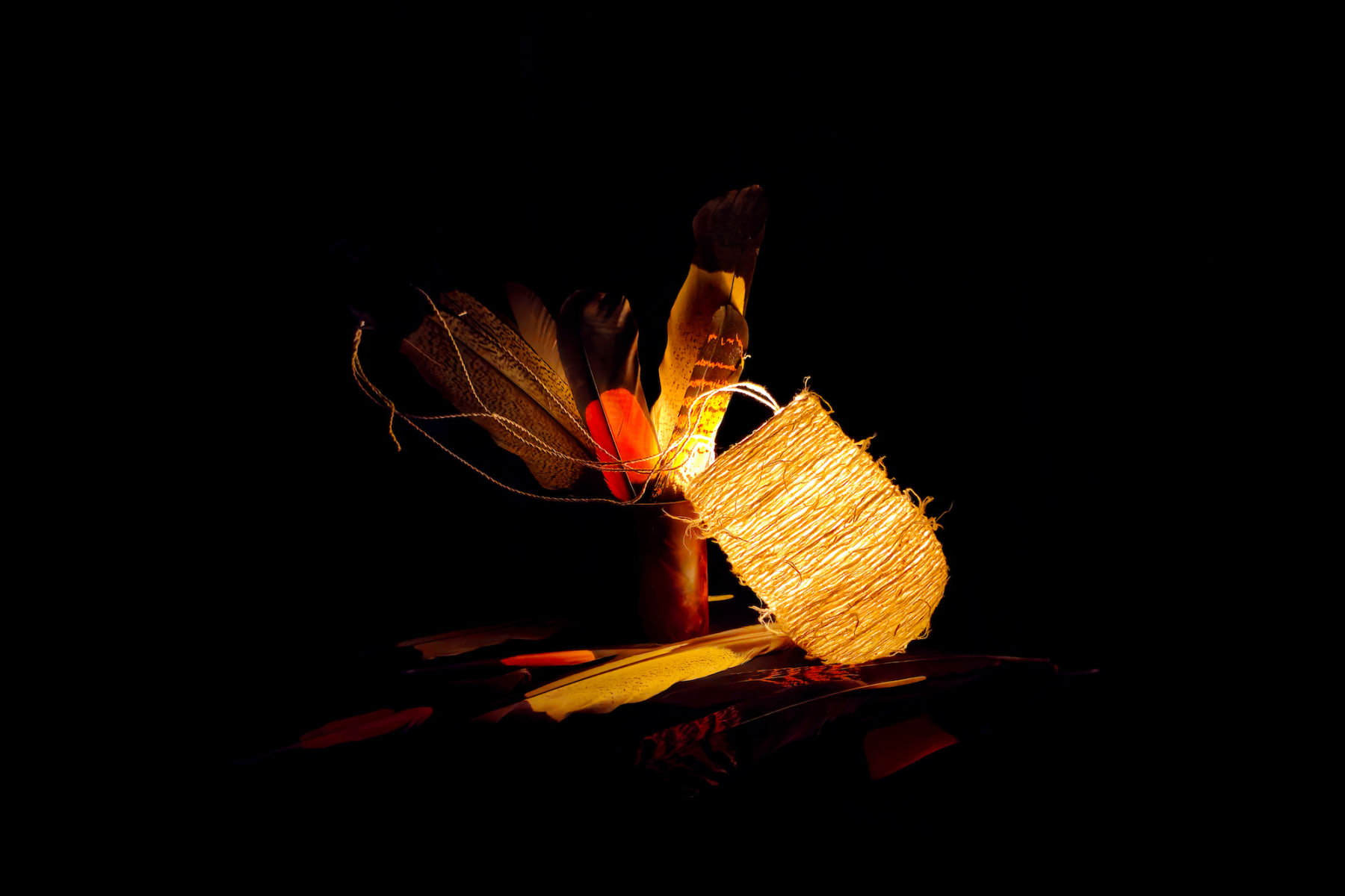 Jenna Lee, Still light with cockatoo feathers, 2025