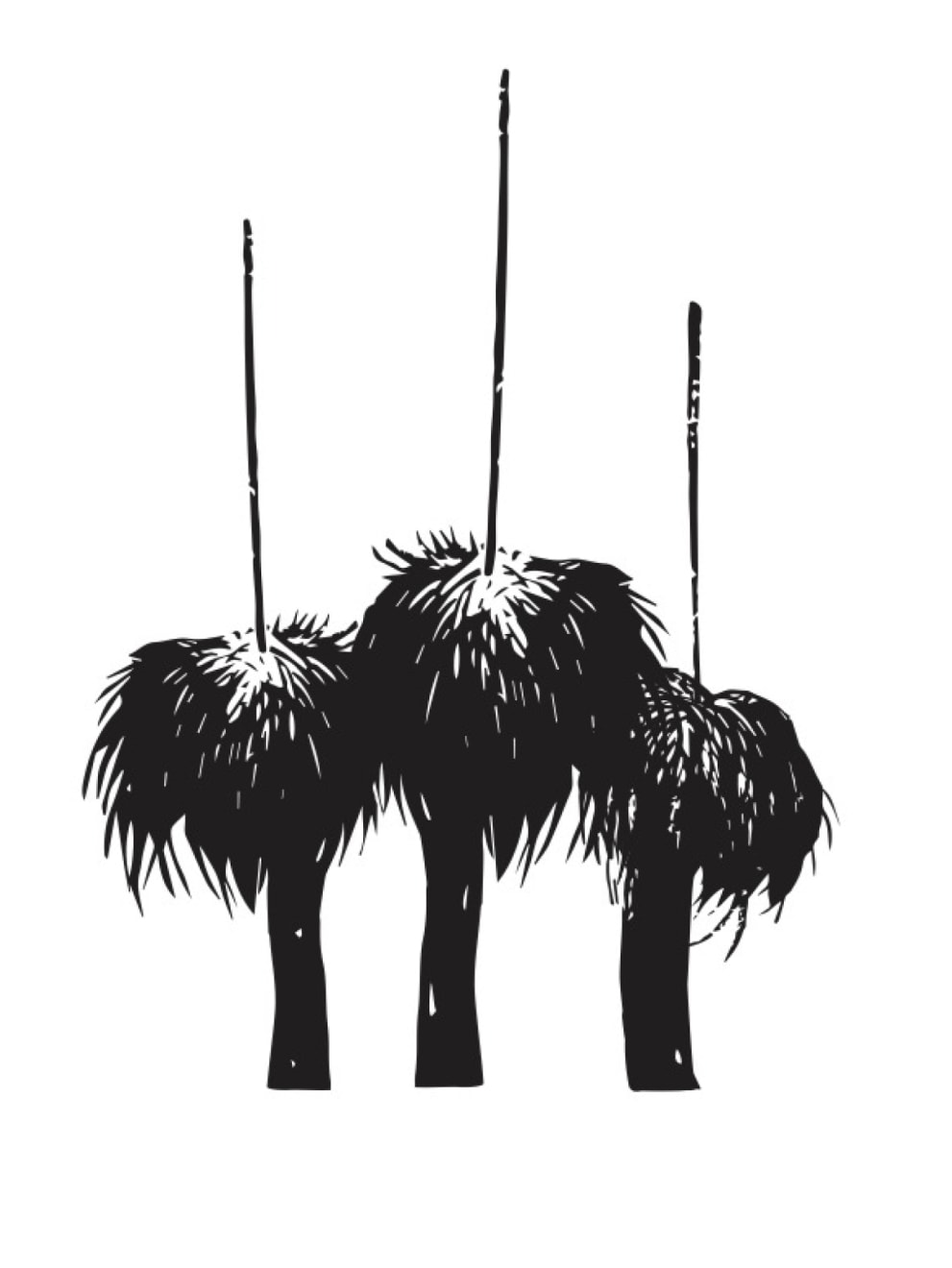 Jenna Lee, Grasstrees 1, 2024