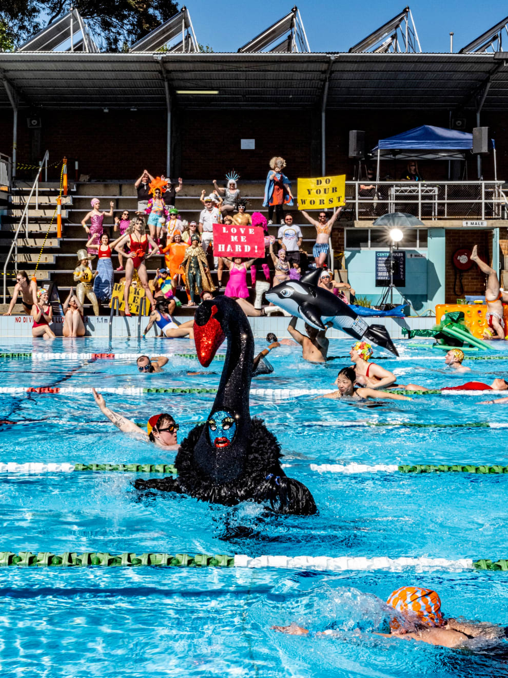 The Huxleys, Life In The Fast Lame, 2025