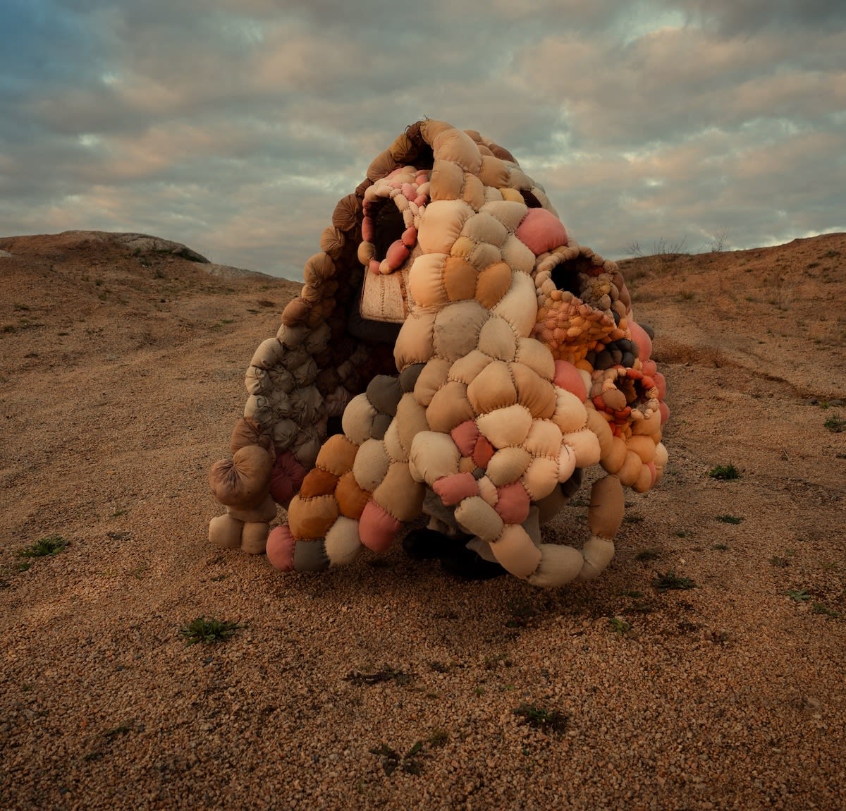 Kasia Tons, Panoplia, 2013