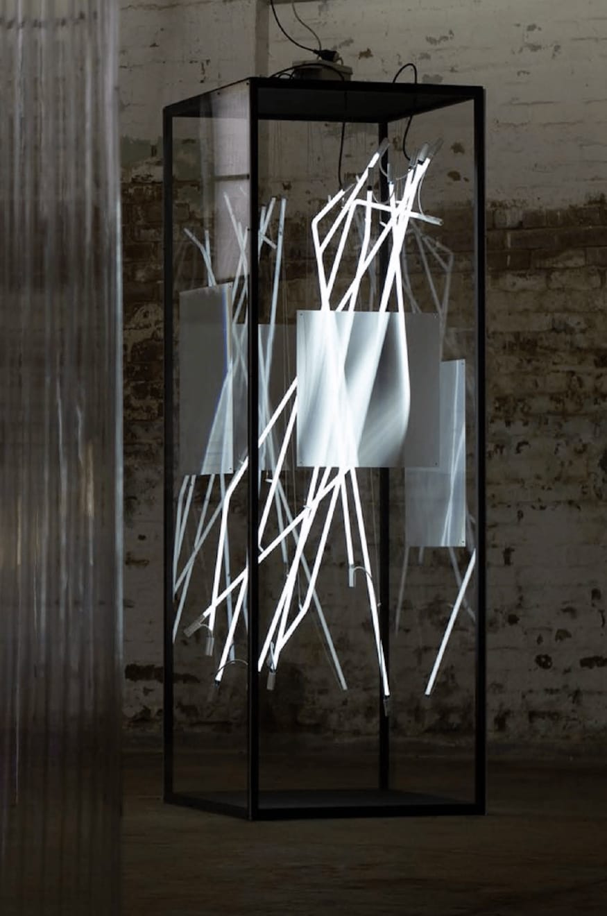 Meagan Streader, Cluster (neon vitrine), 2024