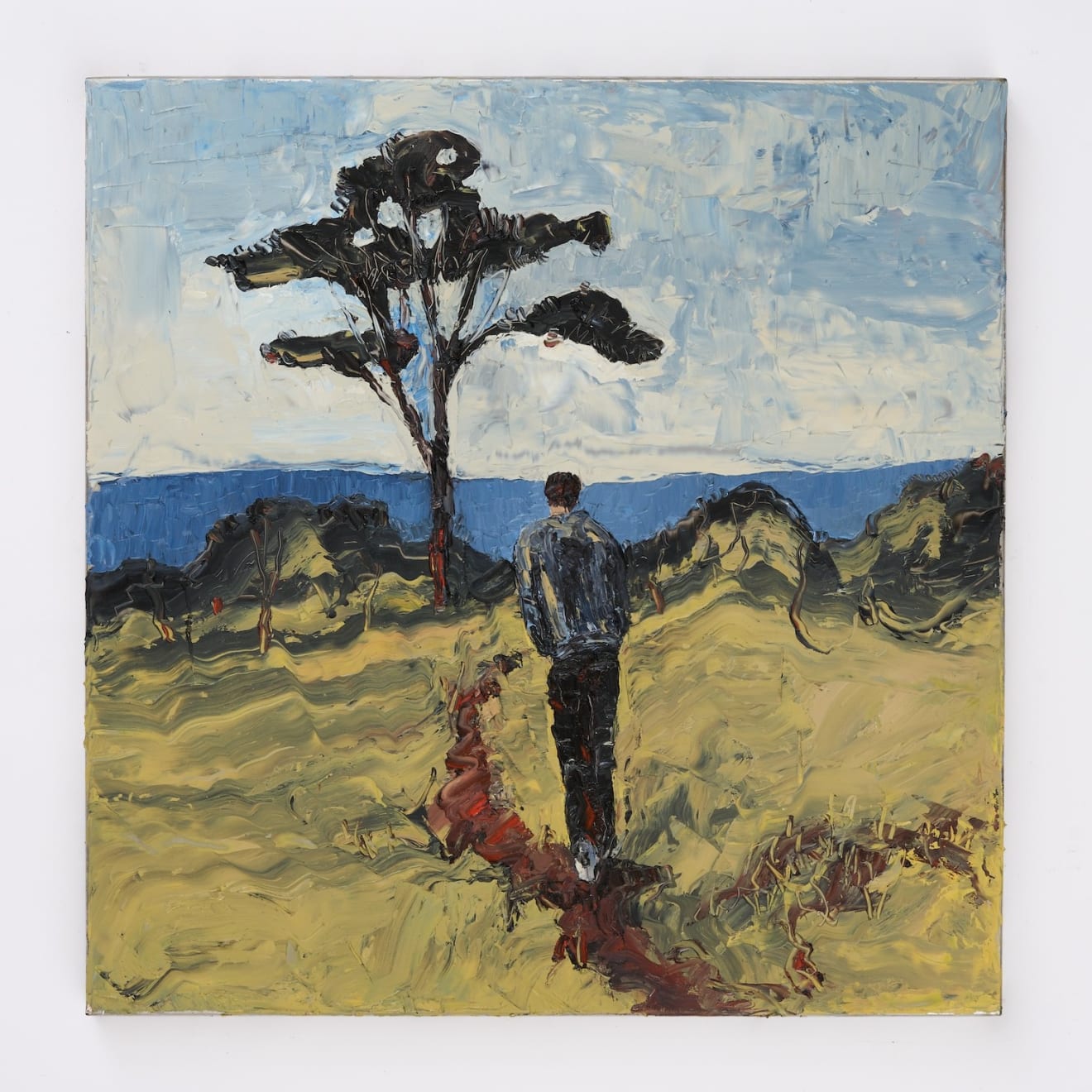 Kate Lewis, Joe Tree, Flinders , 2024