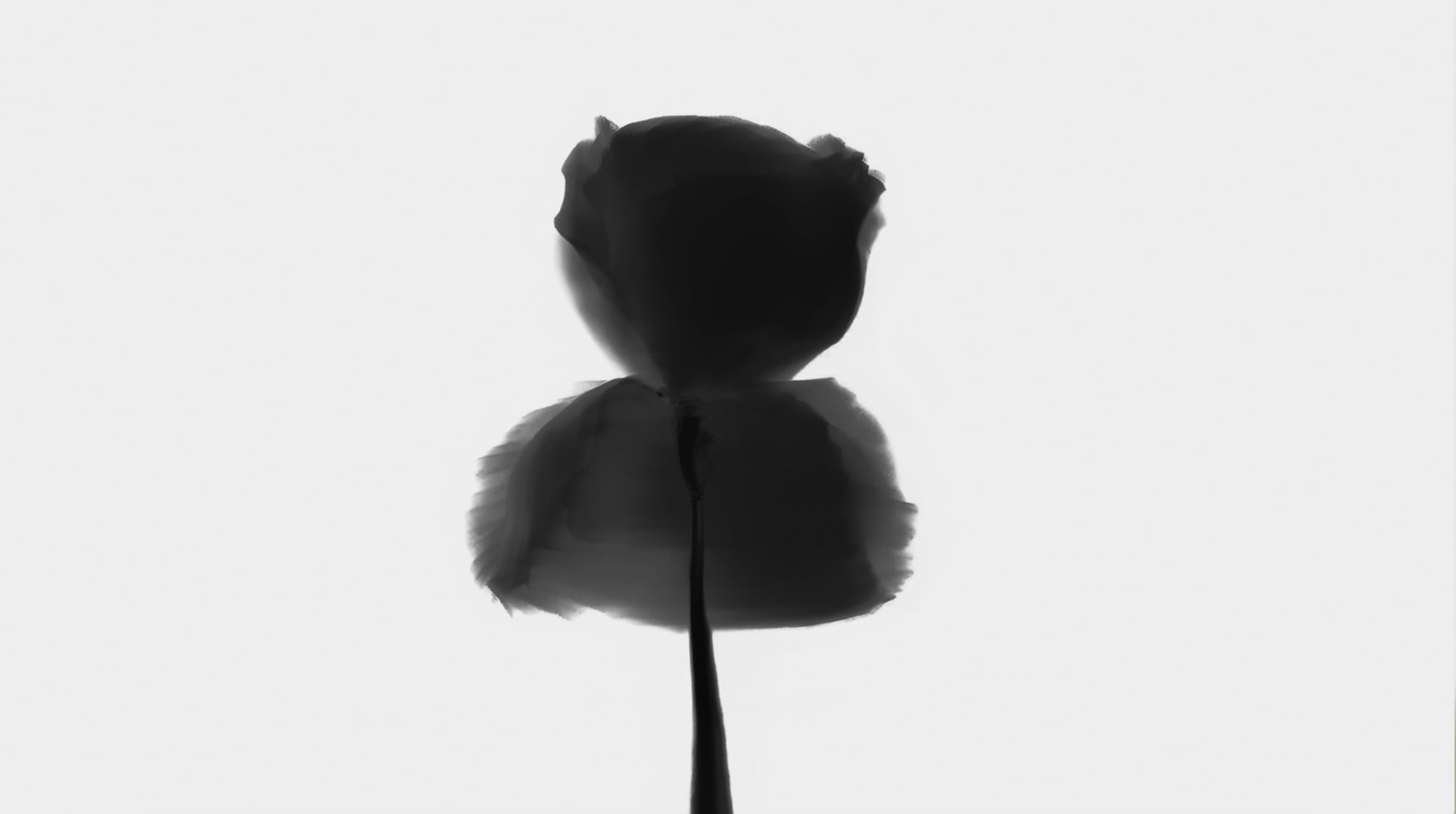 Justin Ridler, Iris 03, 2025