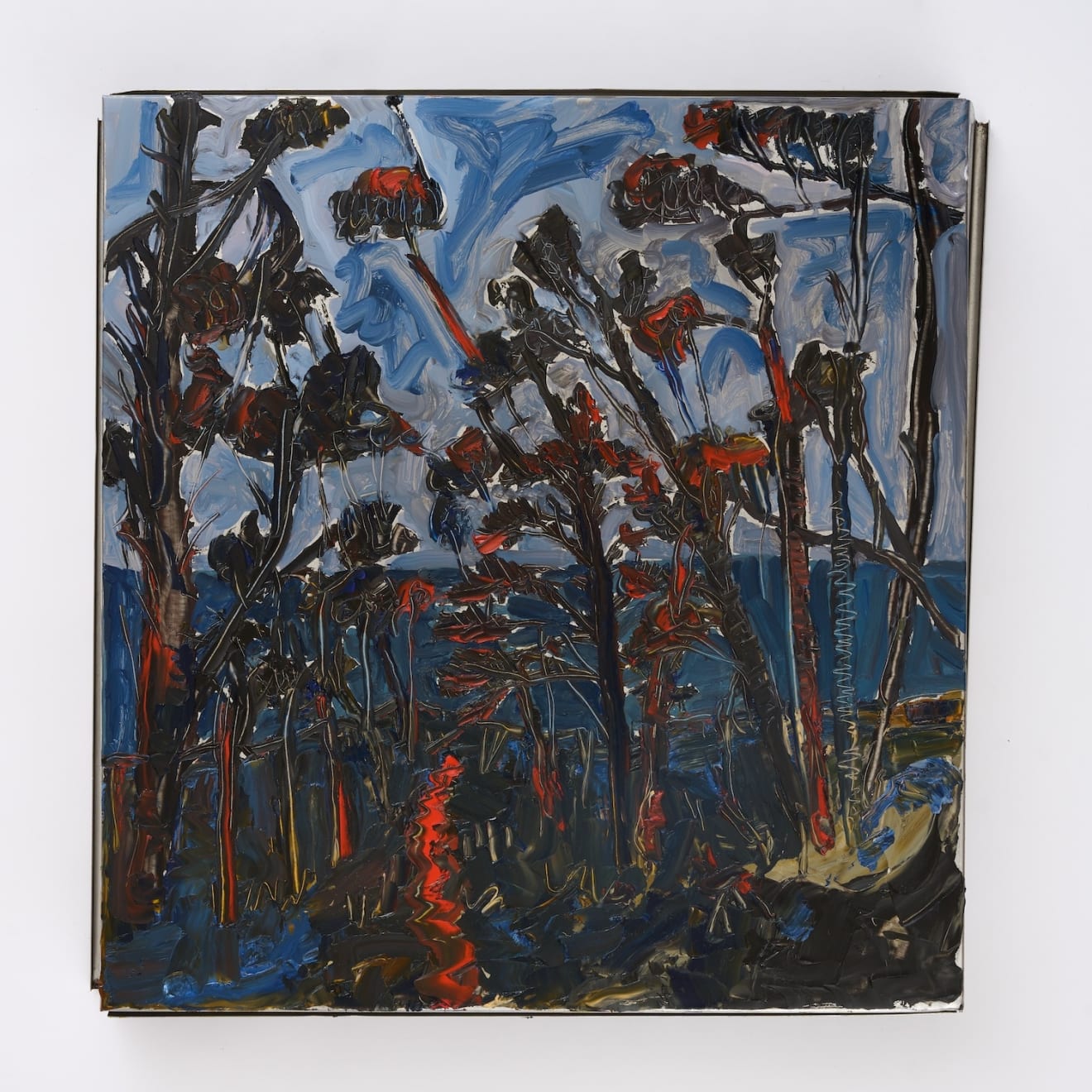 Kate Lewis, Illuminating, Flinders , 2024