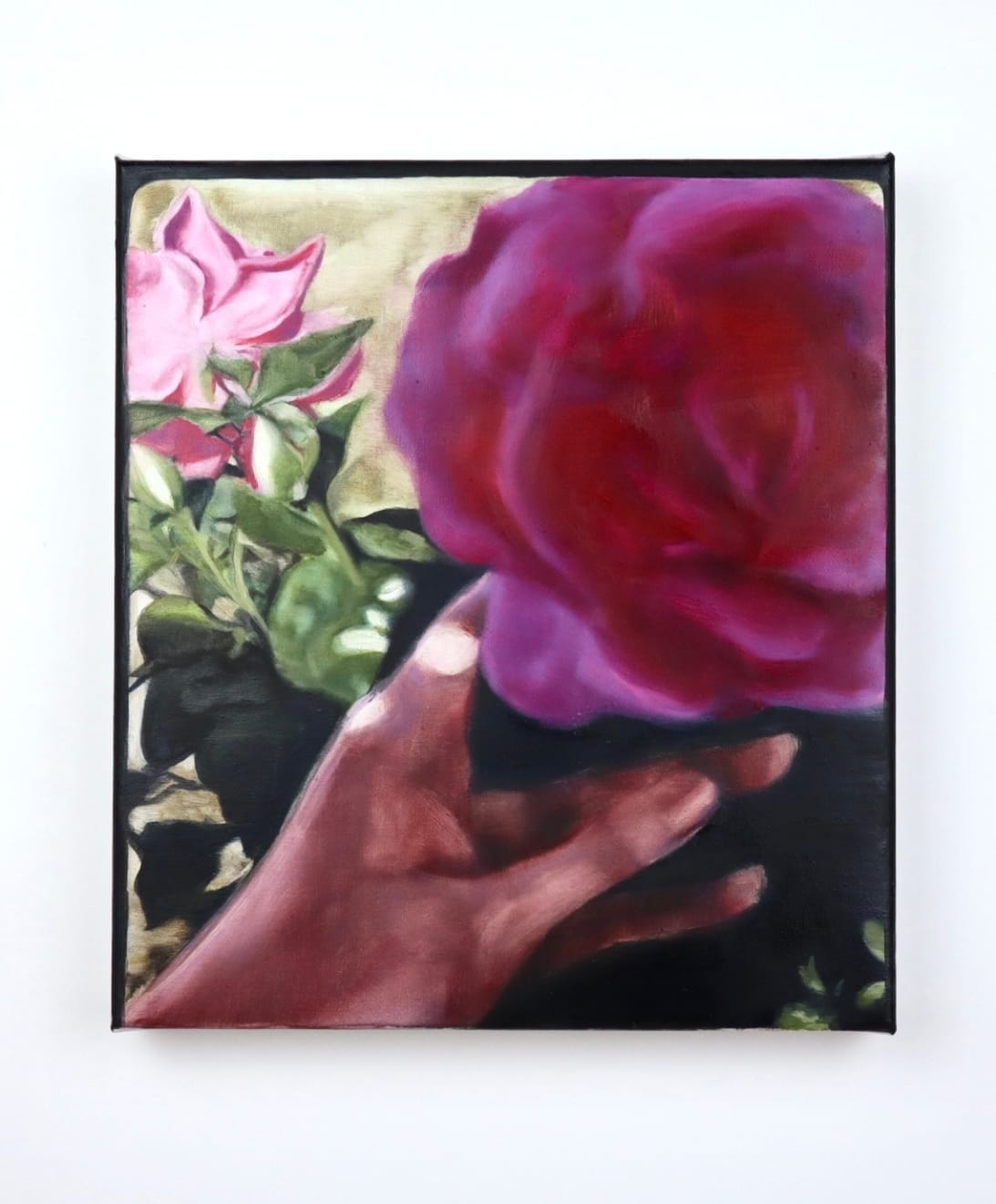Prudence Wilkinson, Nin’s or Nanna’s Roses with Nin’s or Nanna’s Hand, 2025