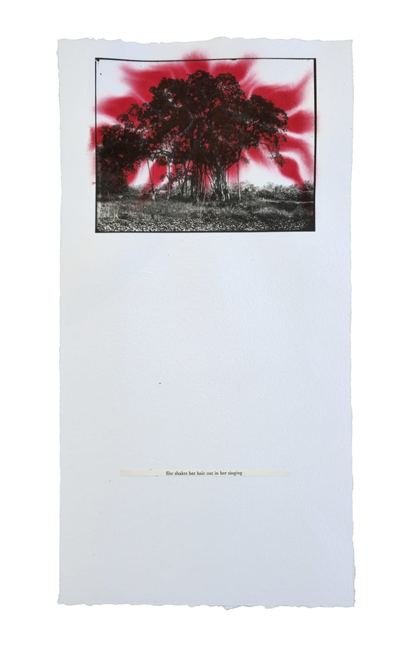 Jenna Lee, She shakes her hair, 2025