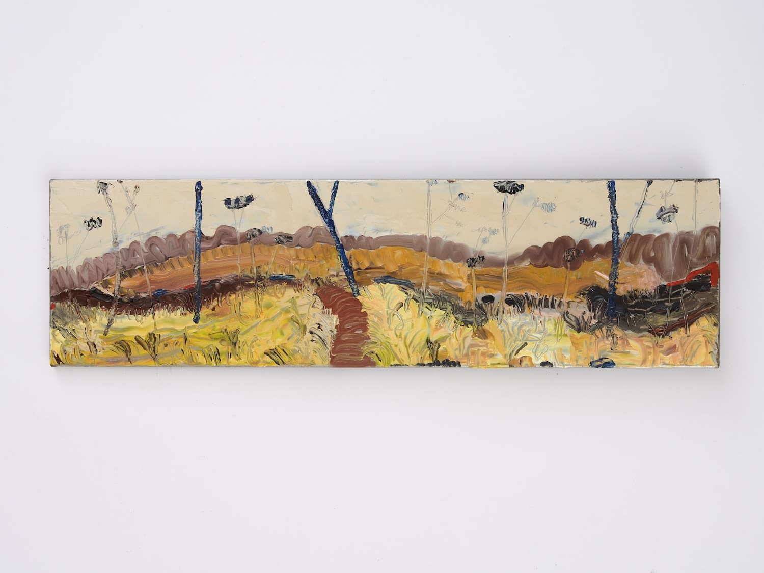 Kate Lewis, Waterfall Gully kings falls , 2024