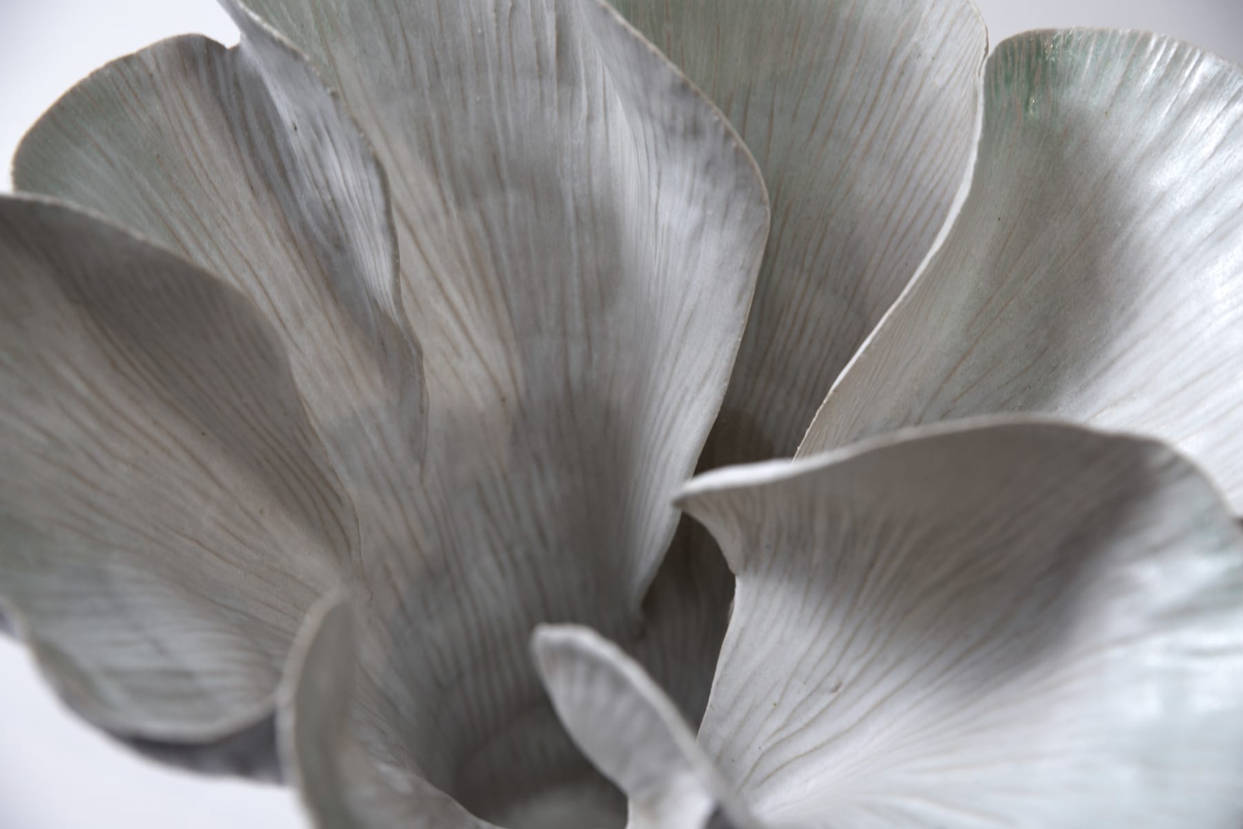 Kohl Tyler, Disappearing, in the soil, 2025