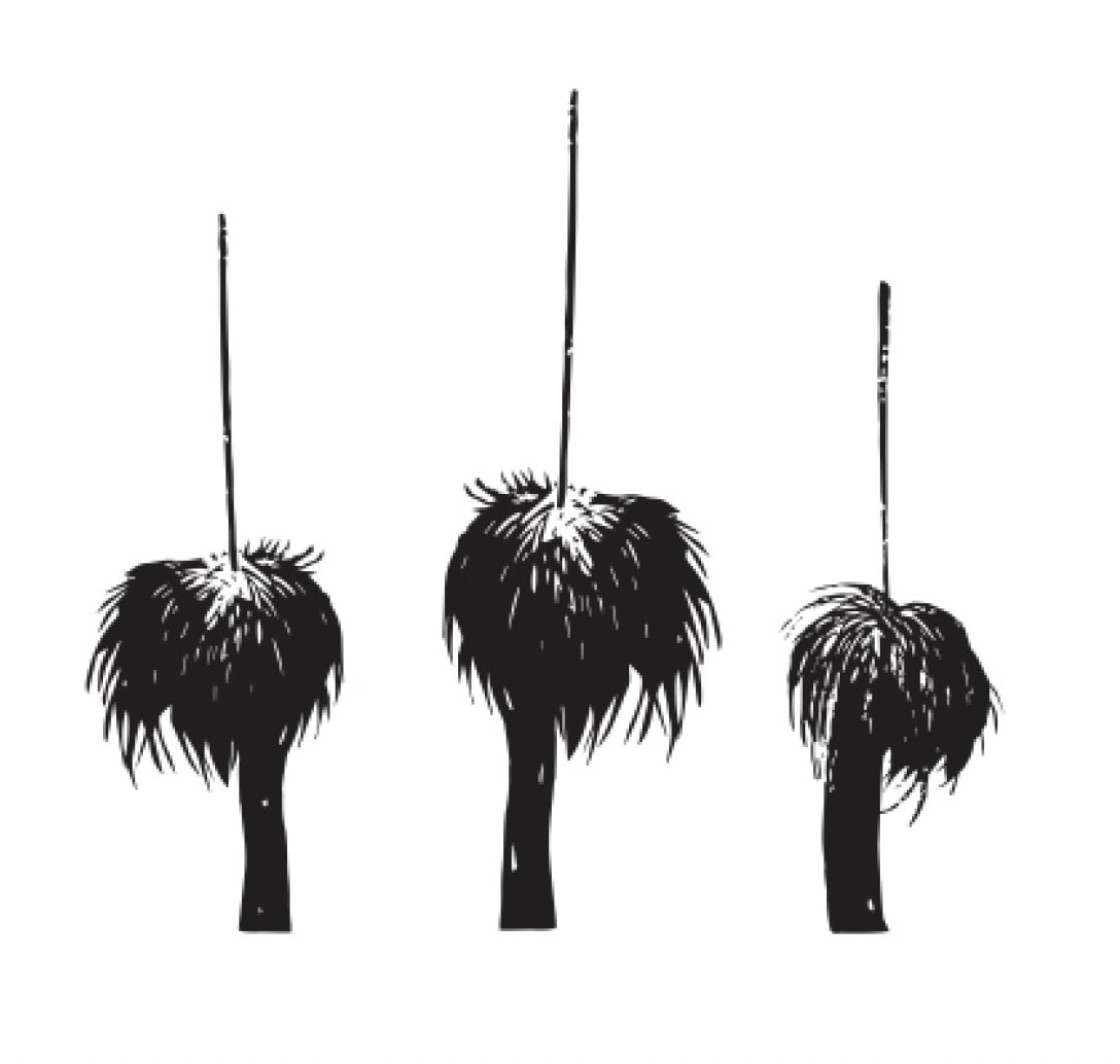 Jenna Lee, Grasstrees 2, 2024