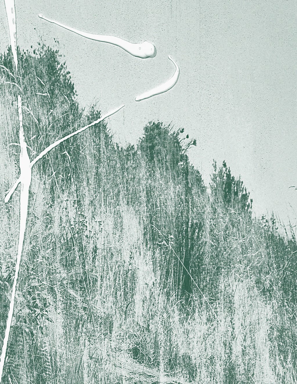 Mauren Brodbeck, Discomposure, 2021