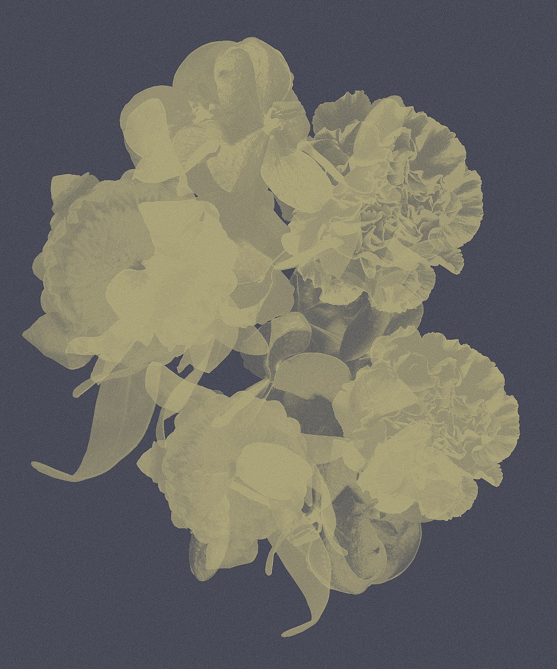 Untitled 001, 2014