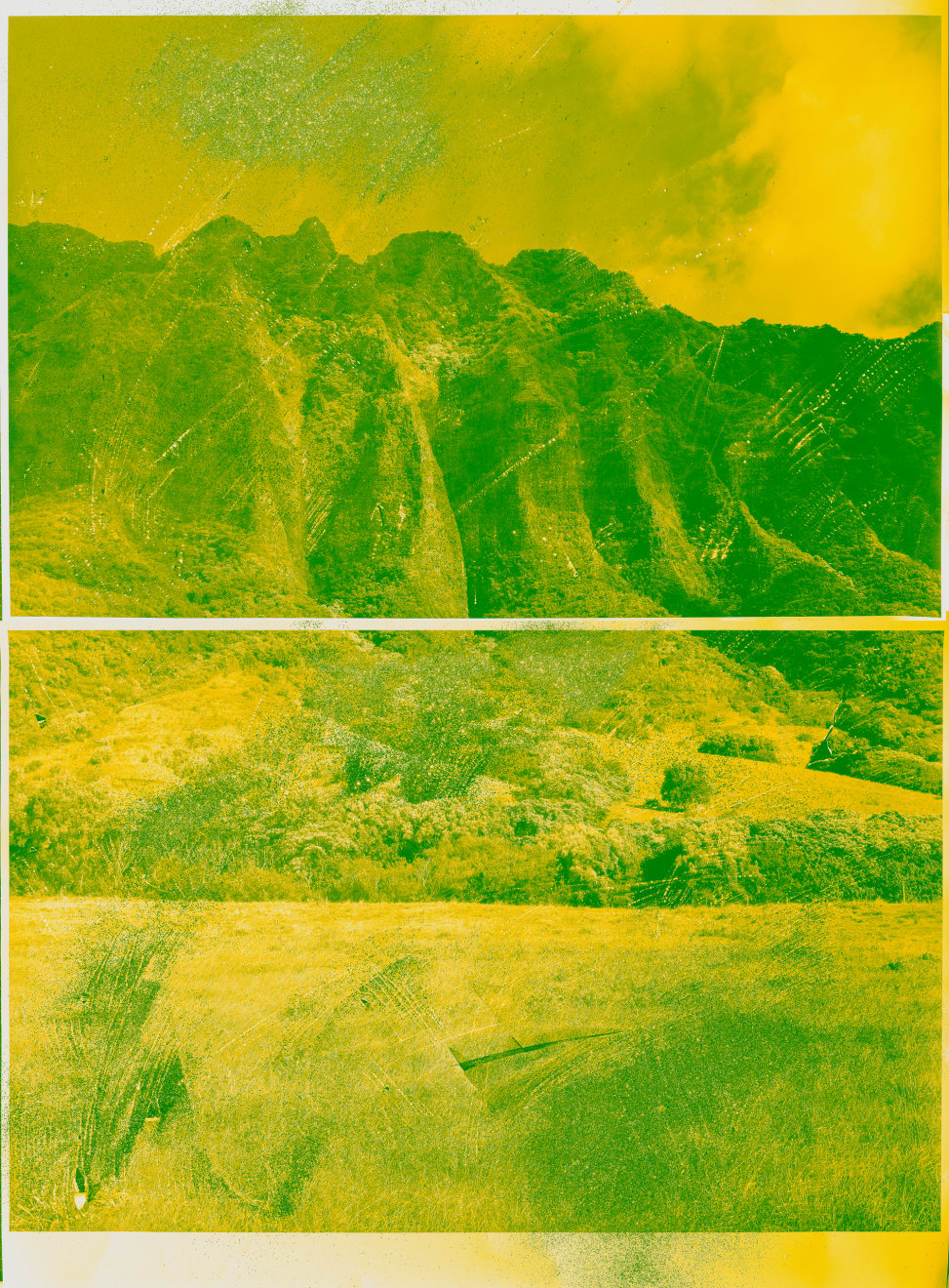 Mauren Brodbeck, Reciprocity 05, 2021