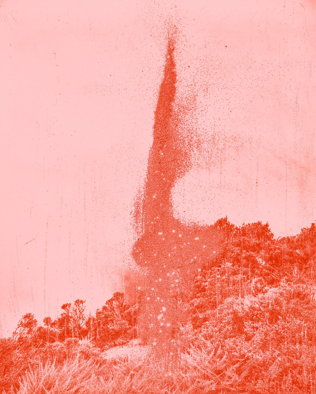 Mauren Brodbeck, Pink Agitation, 2021