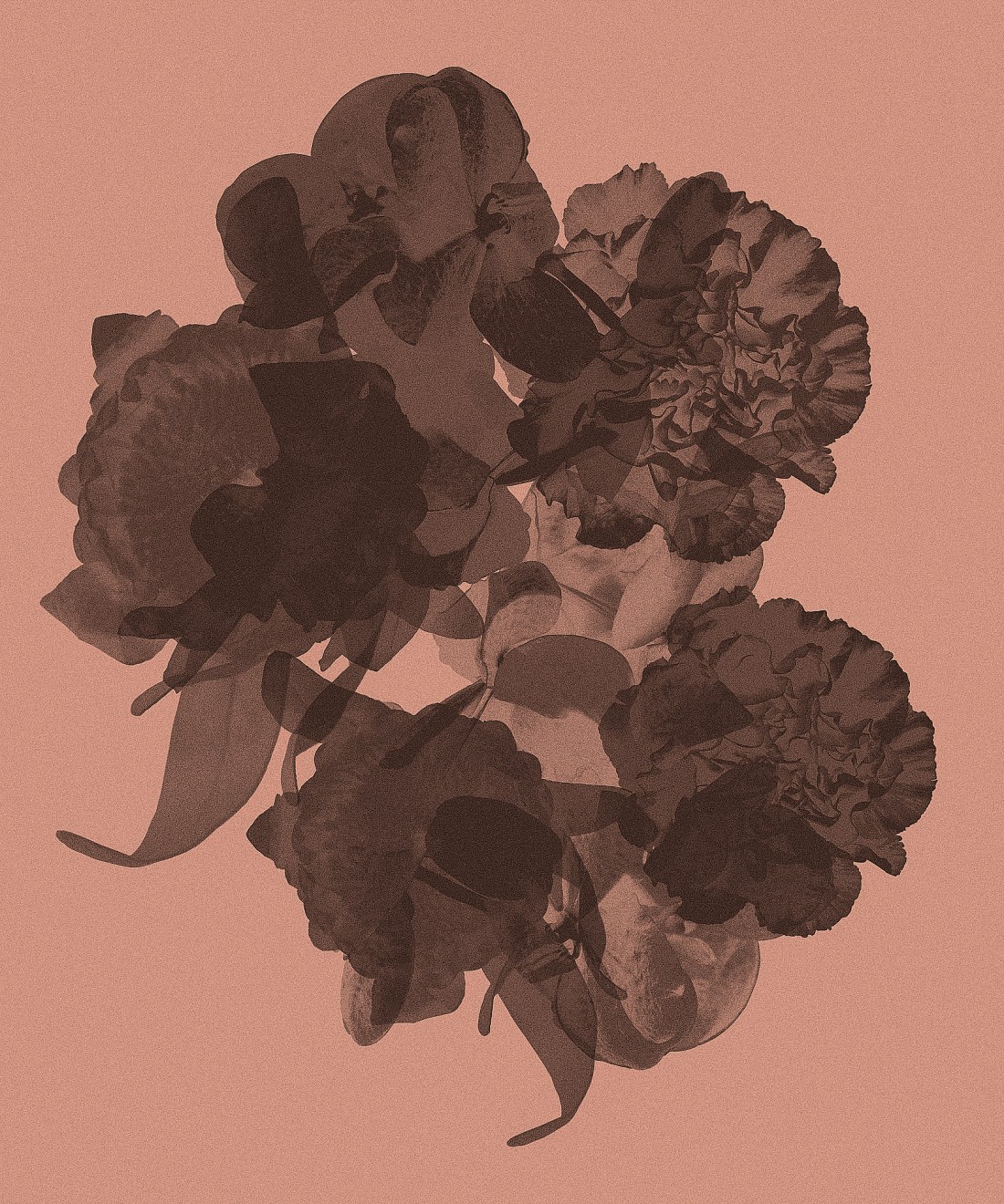 Mauren Brodbeck, Untitled 003, 2014