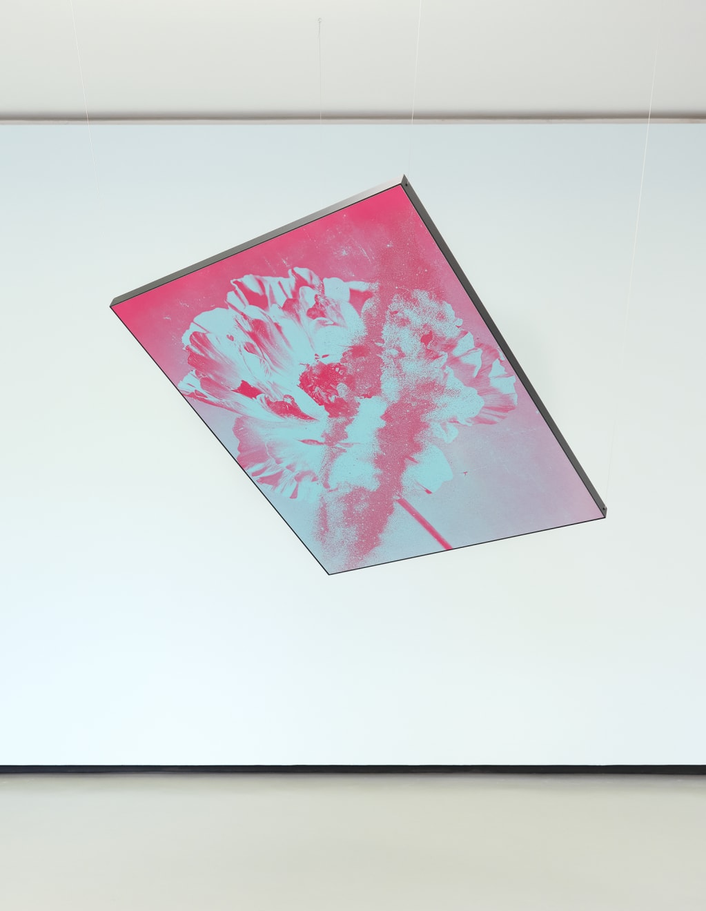 Mauren Brodbeck, Anima Flora, 2021