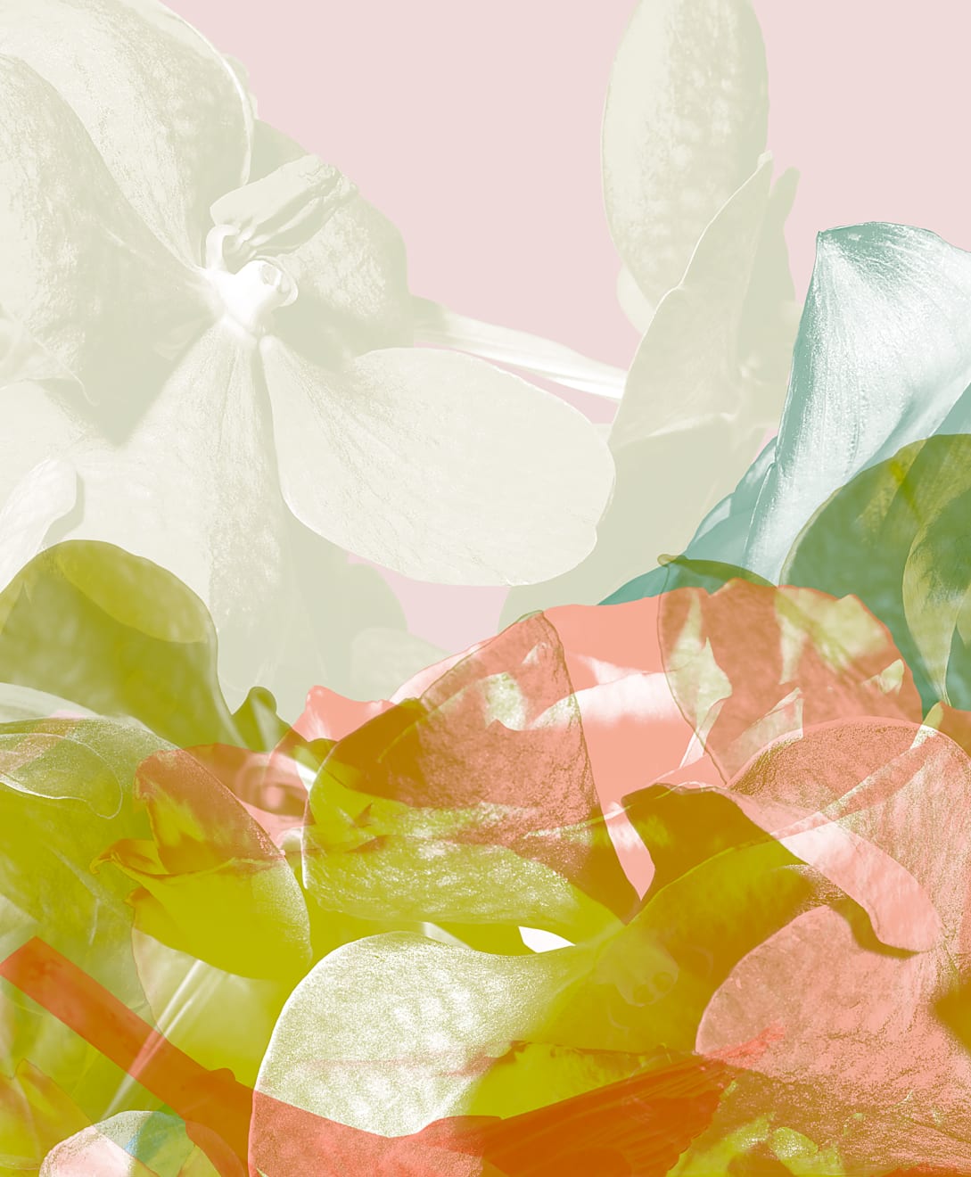 Mauren Brodbeck, Untitled 08, 2014