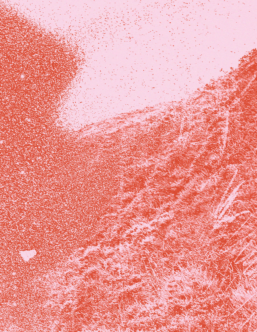 Mauren Brodbeck, Eternal Convolution, 2021