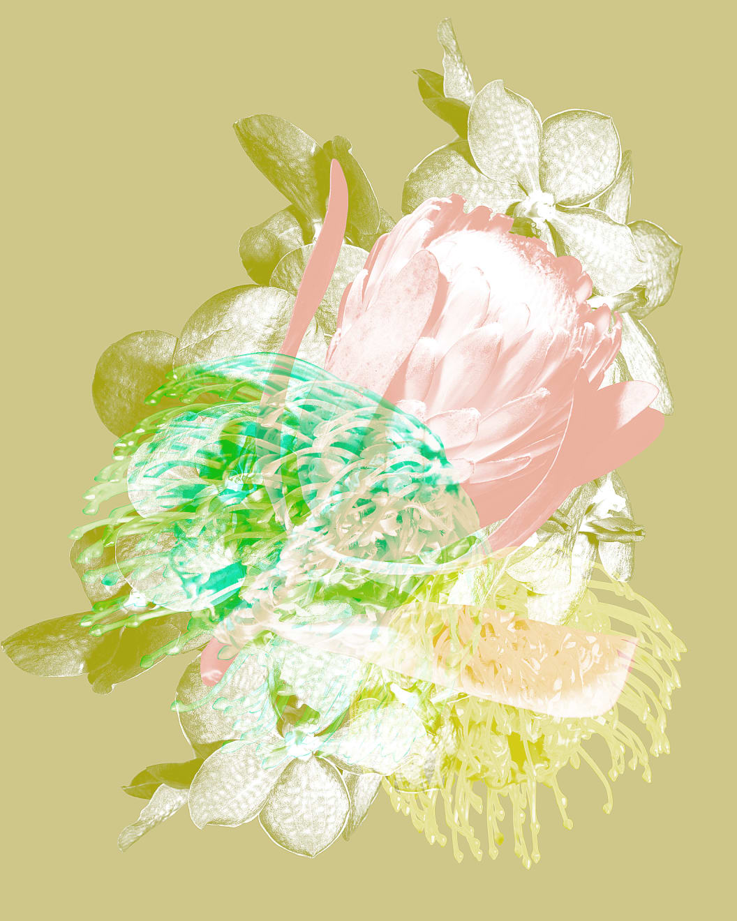 Mauren Brodbeck, Untitled 13, 2014