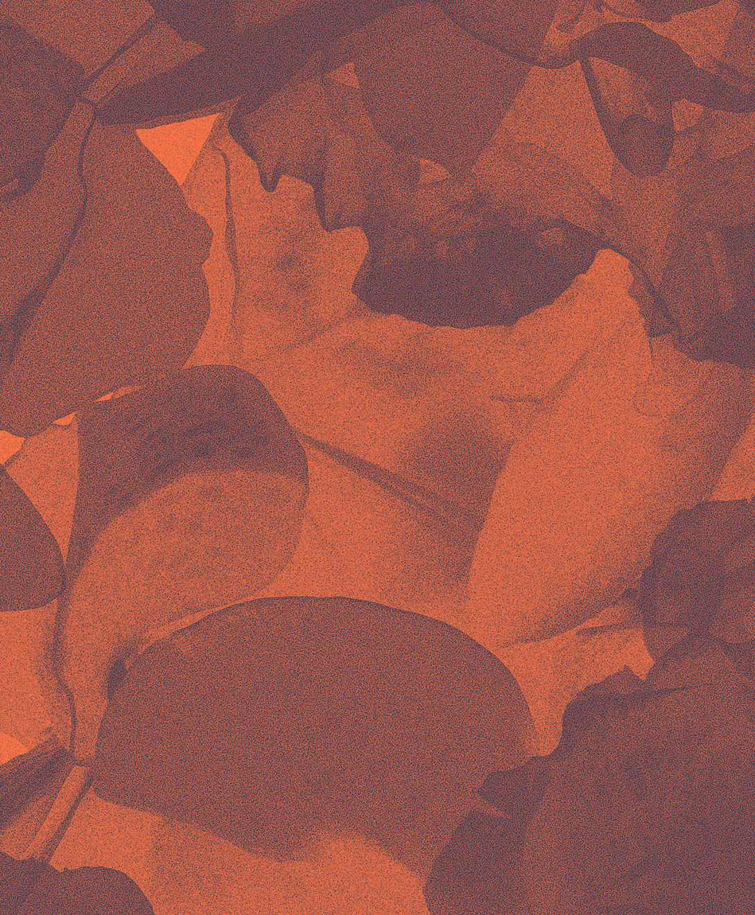 Mauren Brodbeck, Untitled 002, 2014