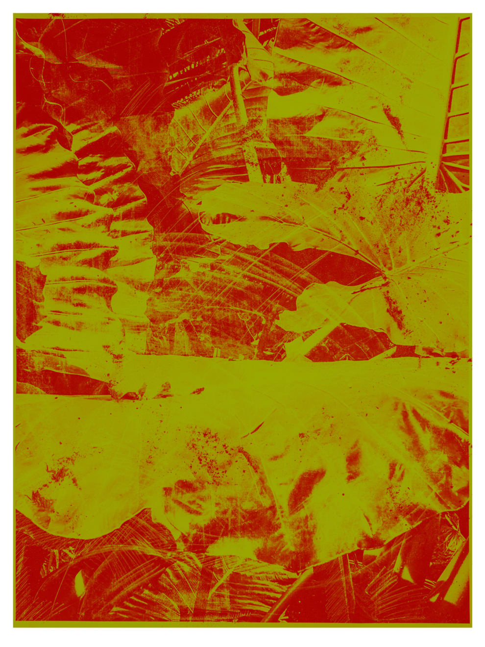 Mauren Brodbeck, Leafs 02, 2019
